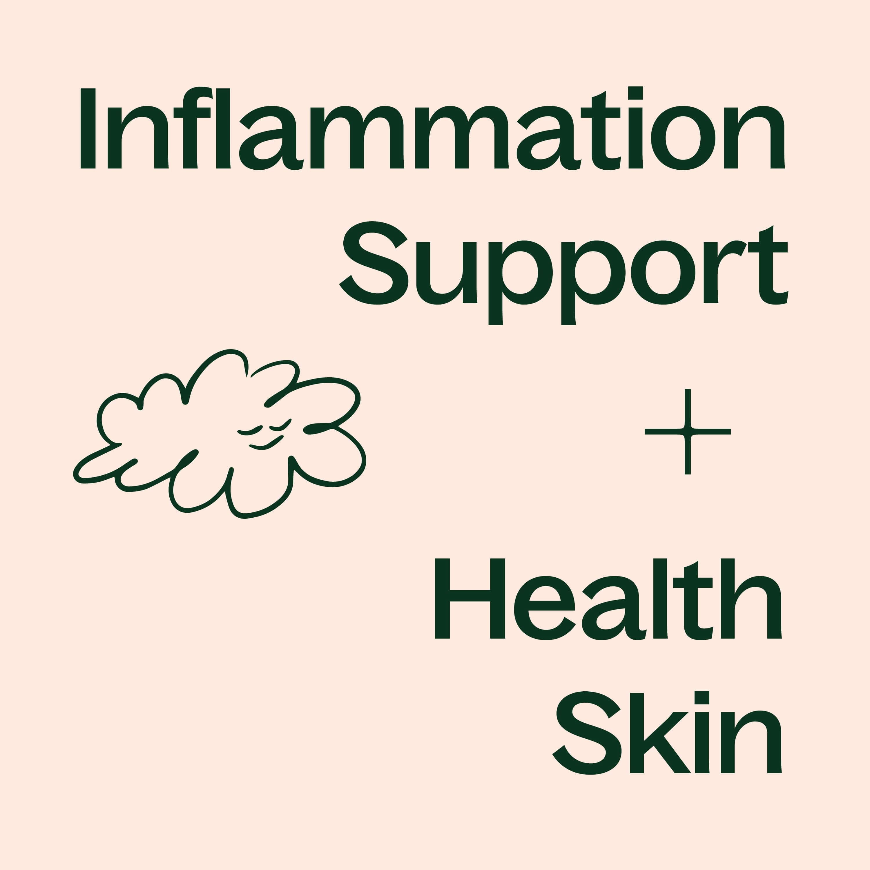 Boswellia Extract – Pure Plant Tradition - My American Goods