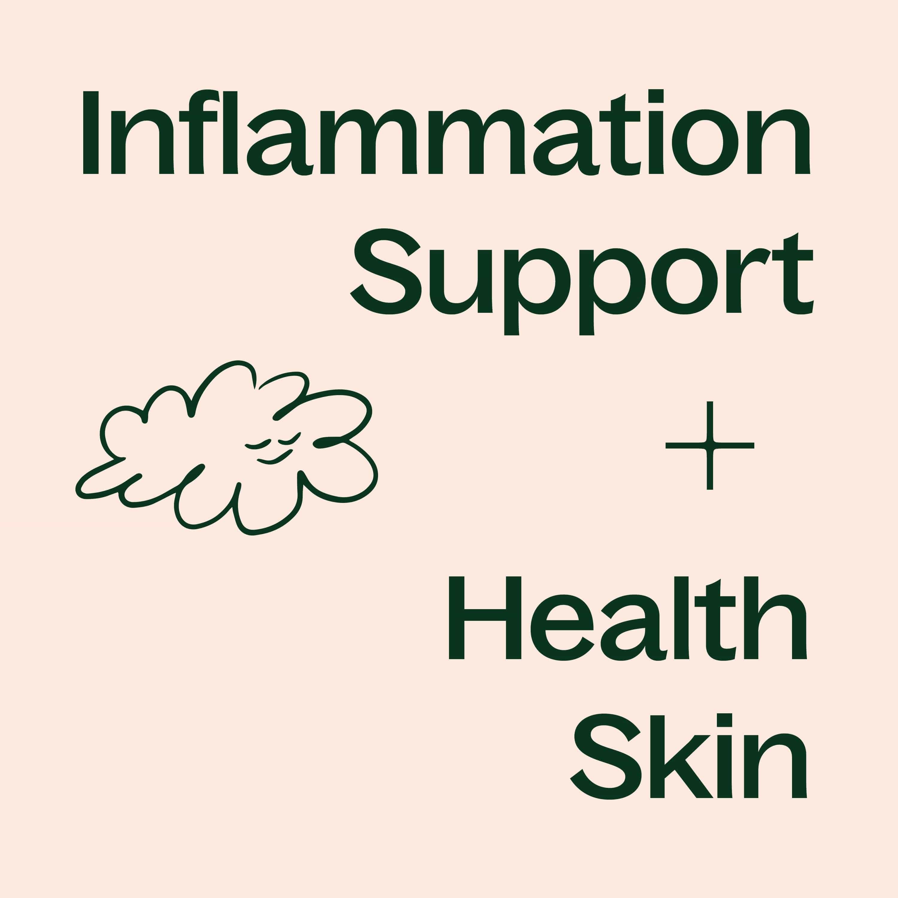 Boswellia Extract – Pure Plant Tradition - My American Goods