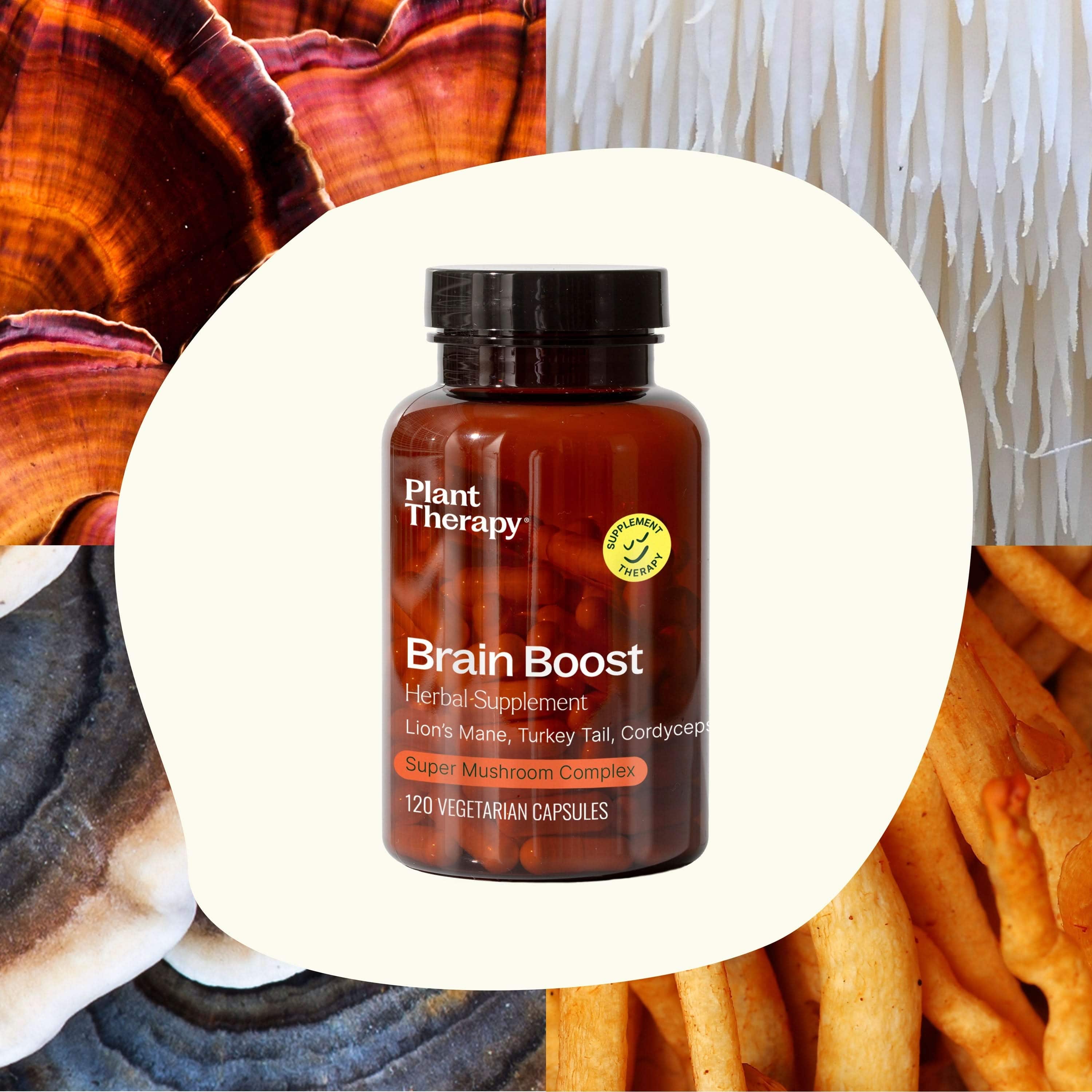 Brain Mushroom Blend – 4 Mushroom Formula - My American Goods