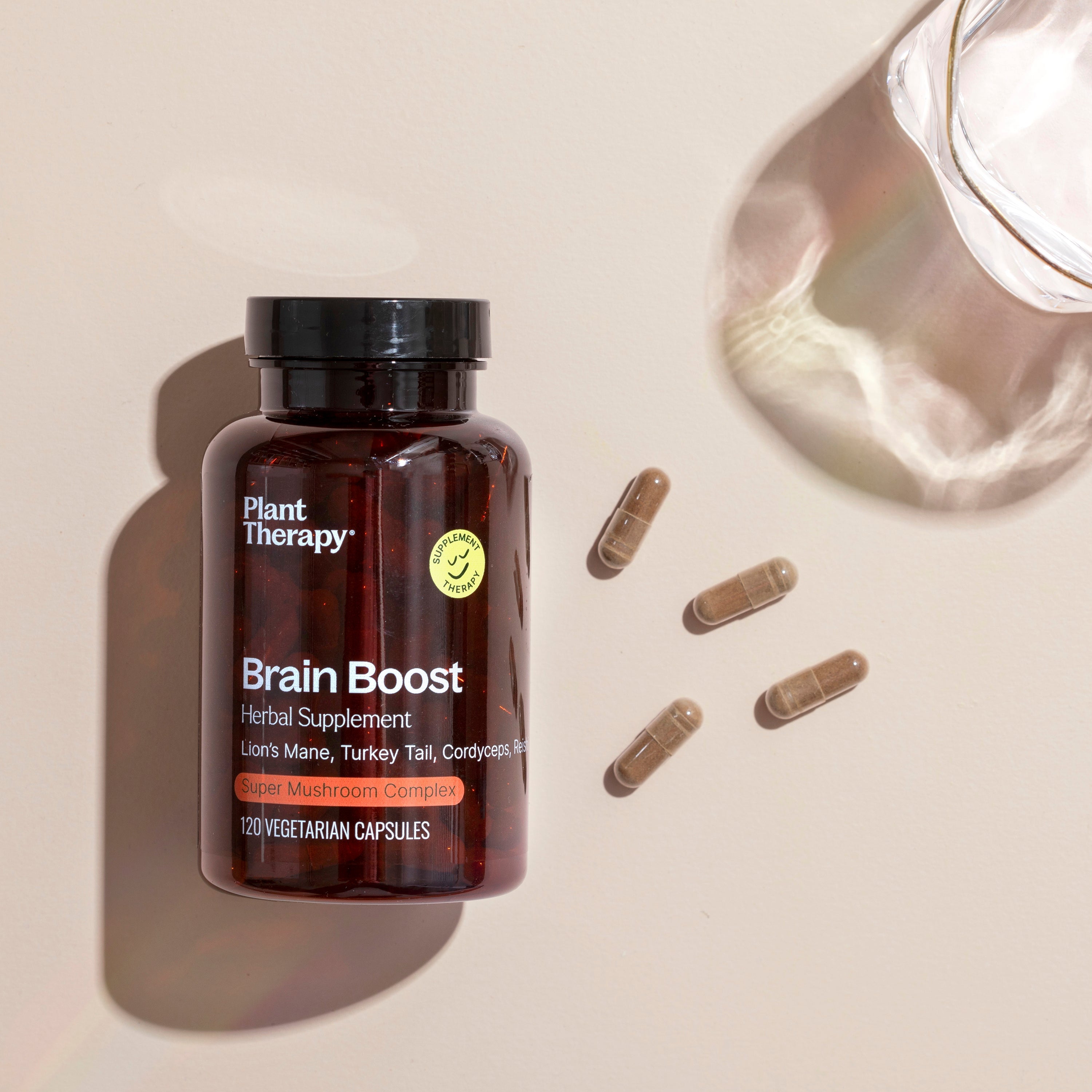 Brain Mushroom Blend – 4 Mushroom Formula - My American Goods