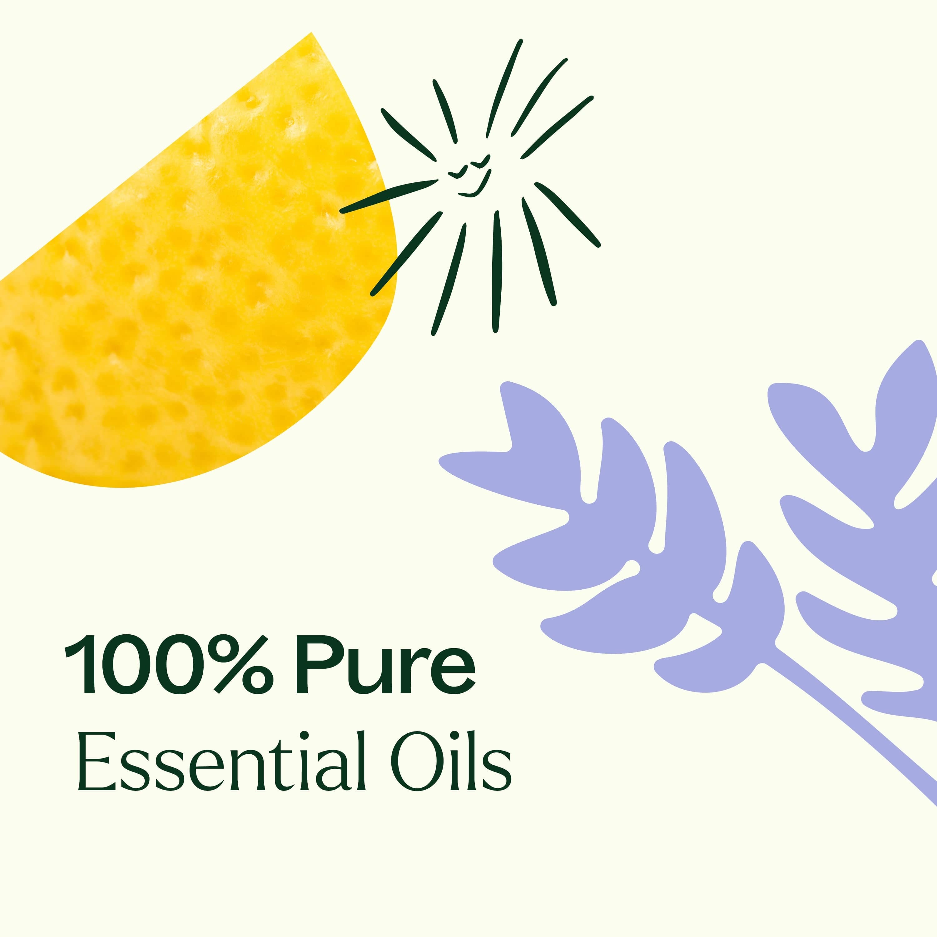Plant Therapy Essential Oil Breathe Easy Set