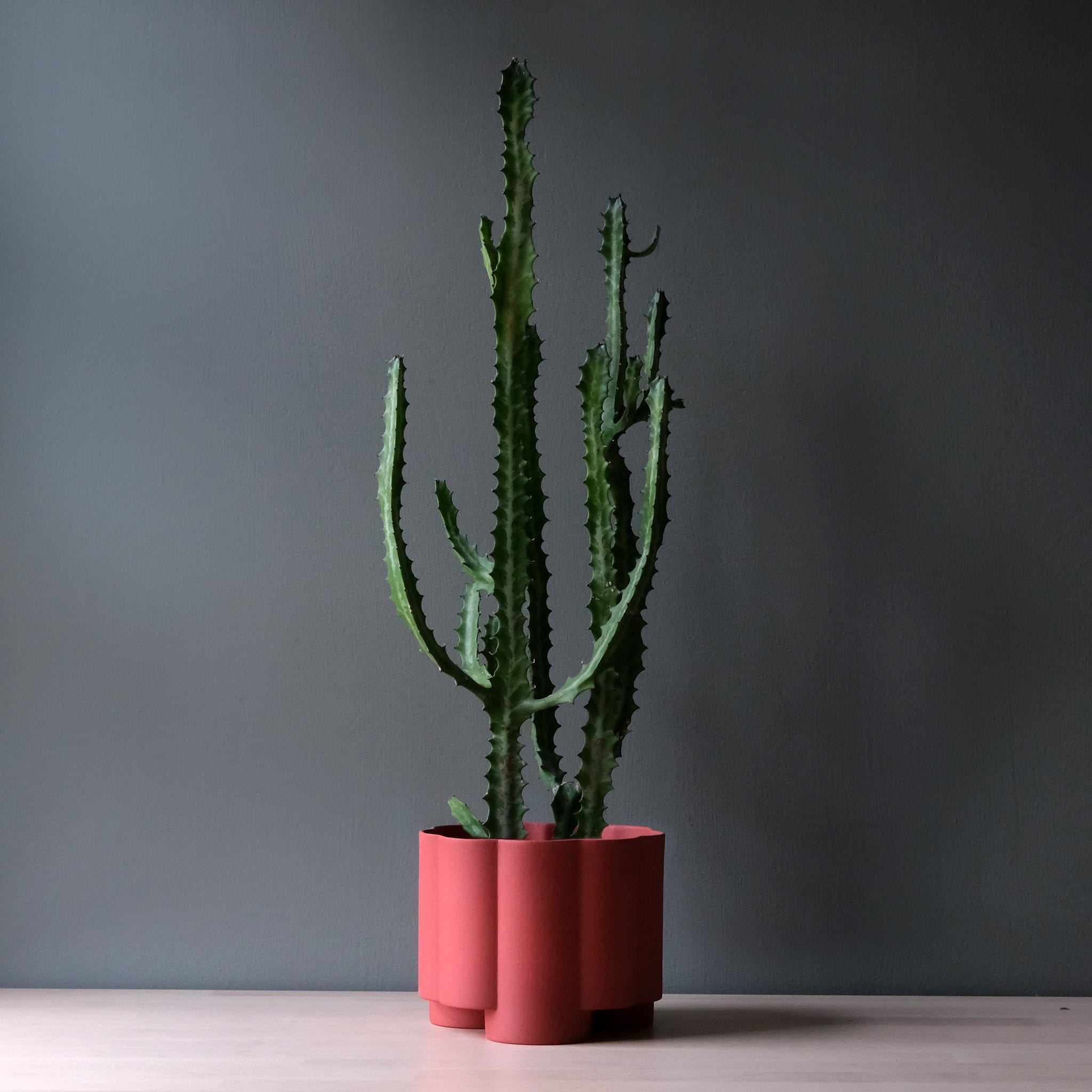 Misewell Pots & Planters Pillar Planter