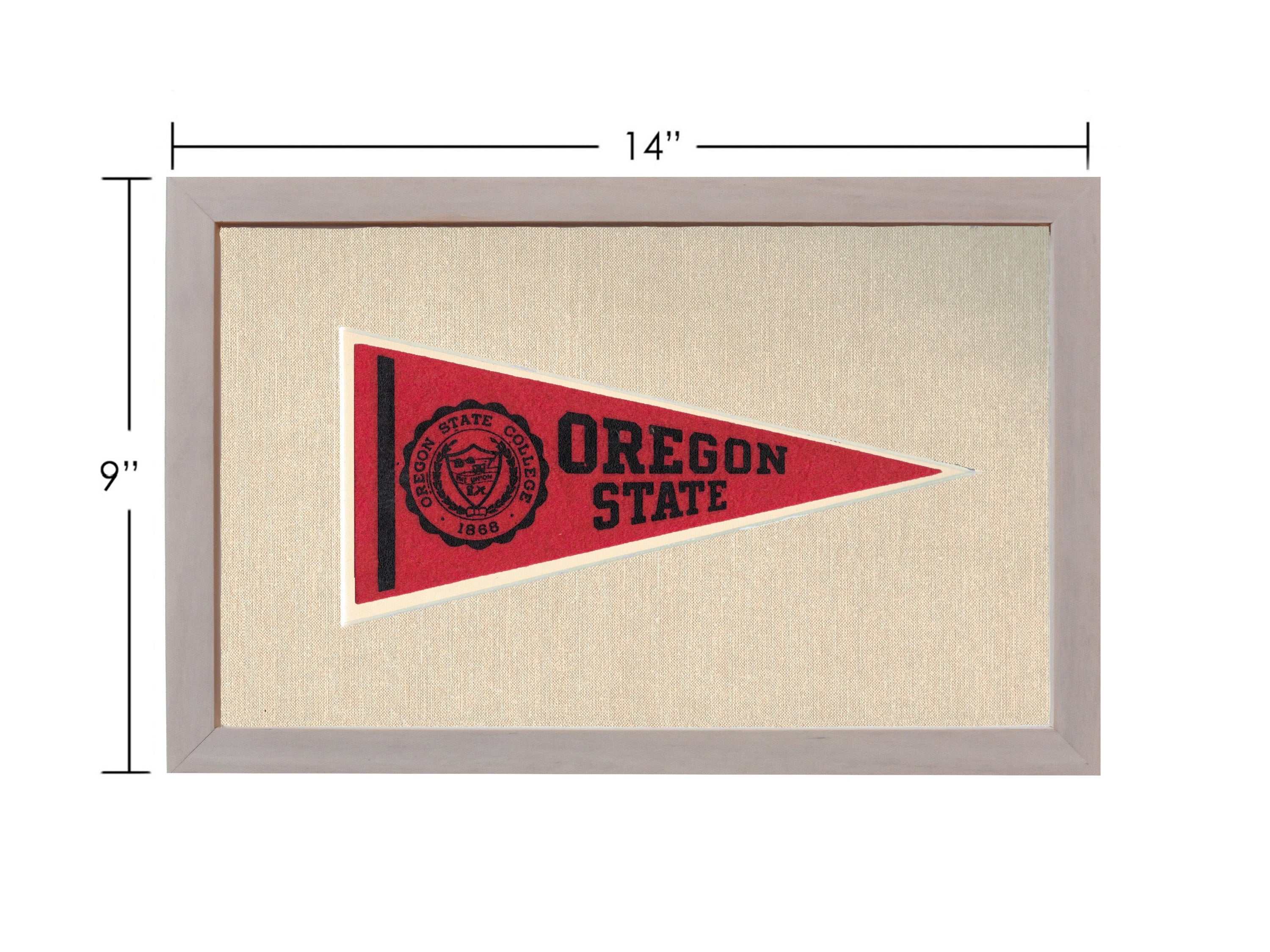 Vintage Michigan State Pennant