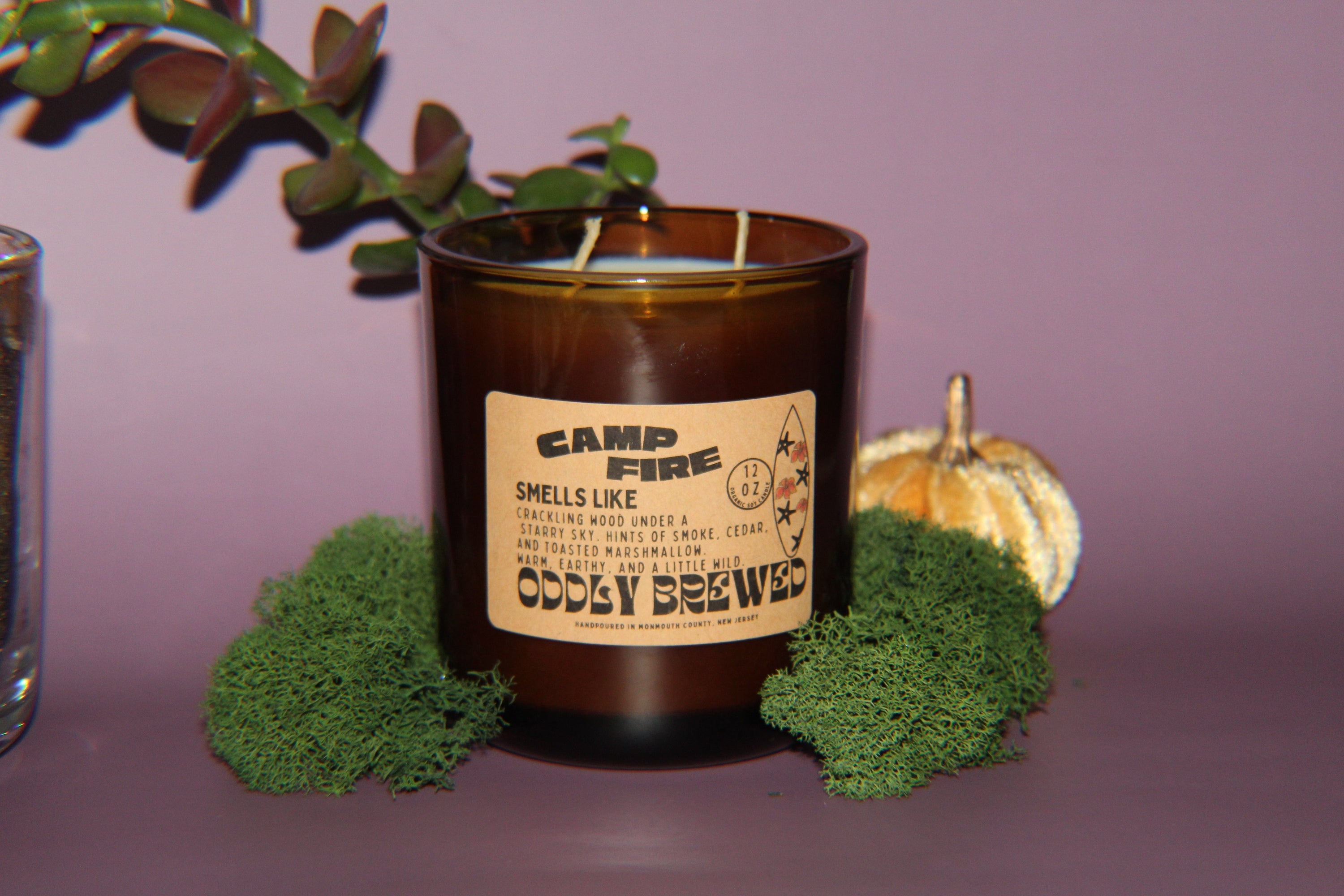 Oddly Brewed Candles Large 12oz Campfire Soy Candle