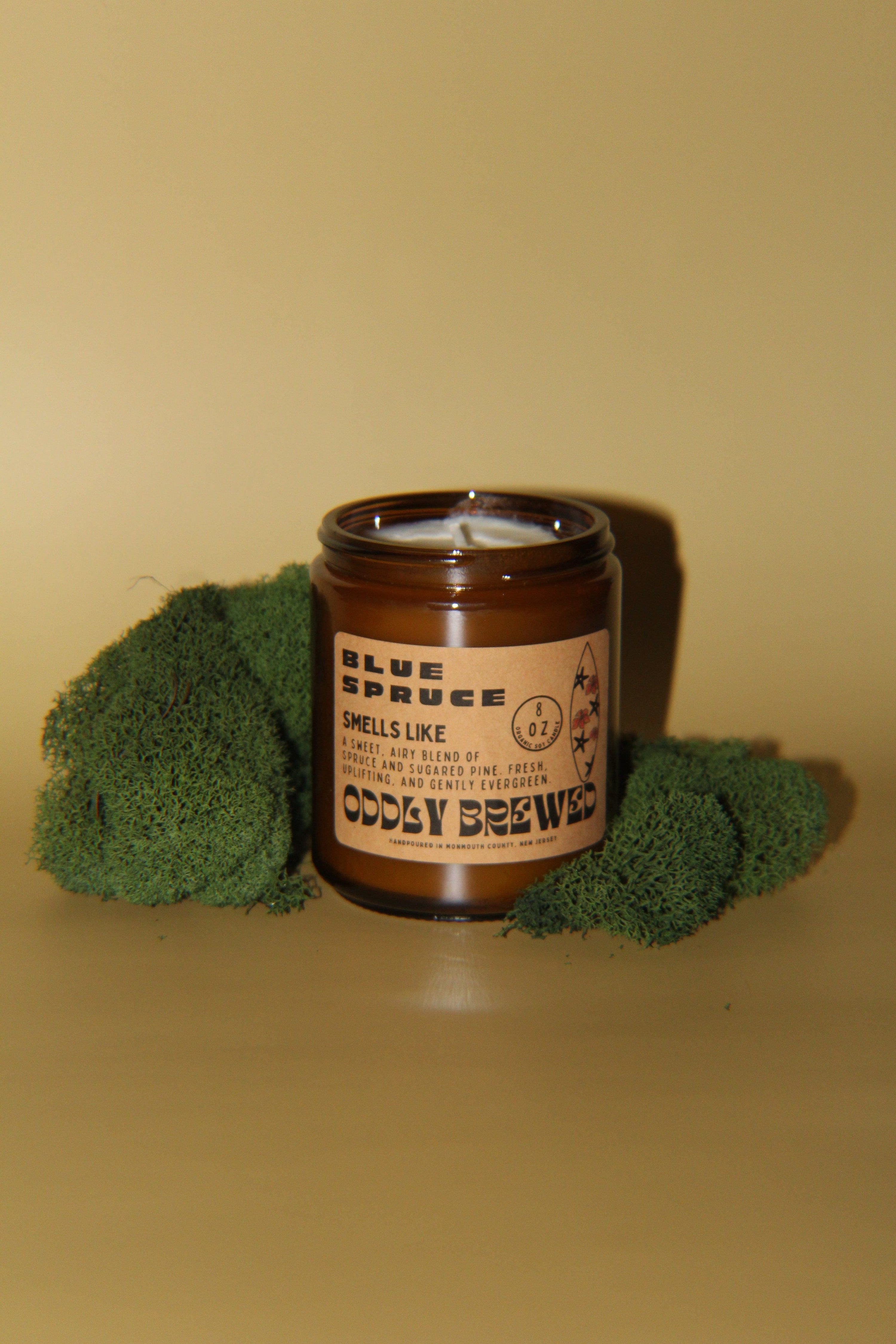 Oddly Brewed Candles Blue Spruce Soy Candle