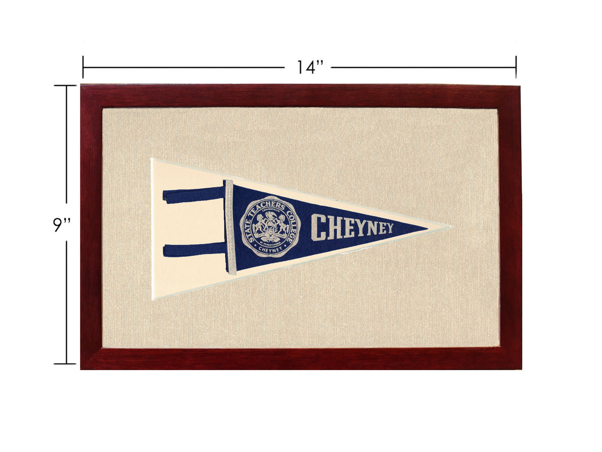 Vintage State Teachers College Pennant