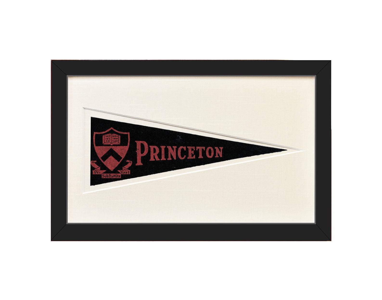 Americana Memories Vintage Princeton University Hormel Pennant
