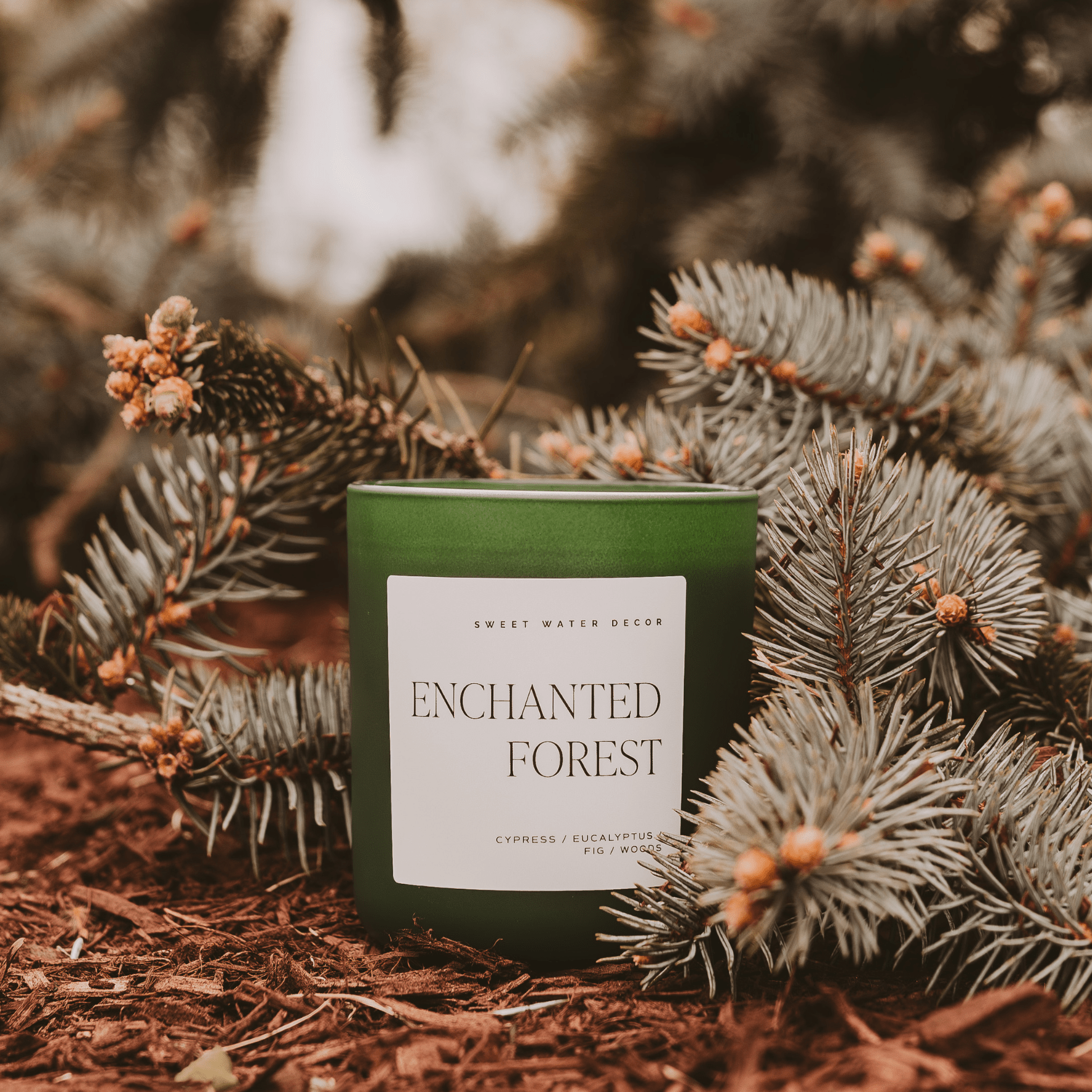 Enchanted Forest Soy Candle - Green Matte Jar - 15 oz (Cypress and Fig) - My American Goods