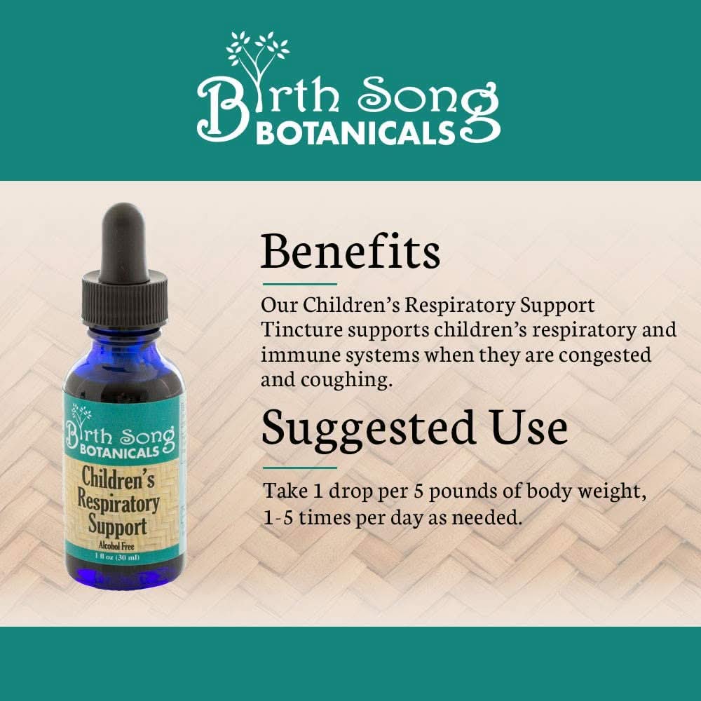 Birth Song Botanicals Co. Tinctures Default Children’s Herbal Tincture – Elderberry & Botanical Blend (1 oz)