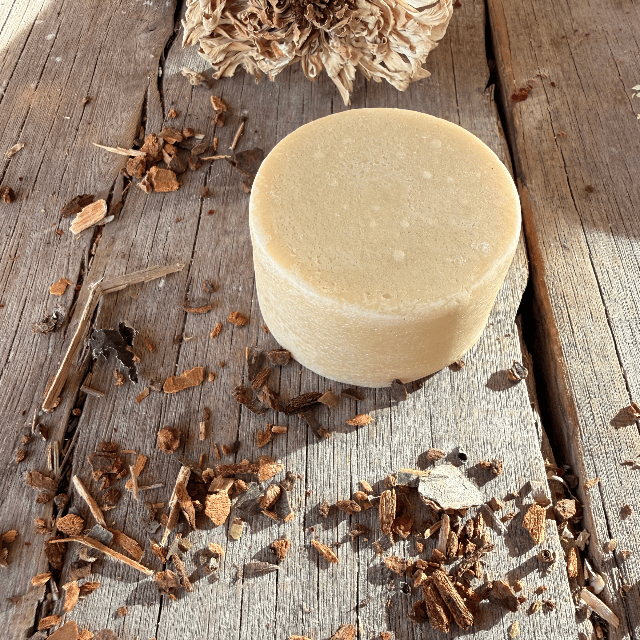 Cacao & Protein Conditioner Bar