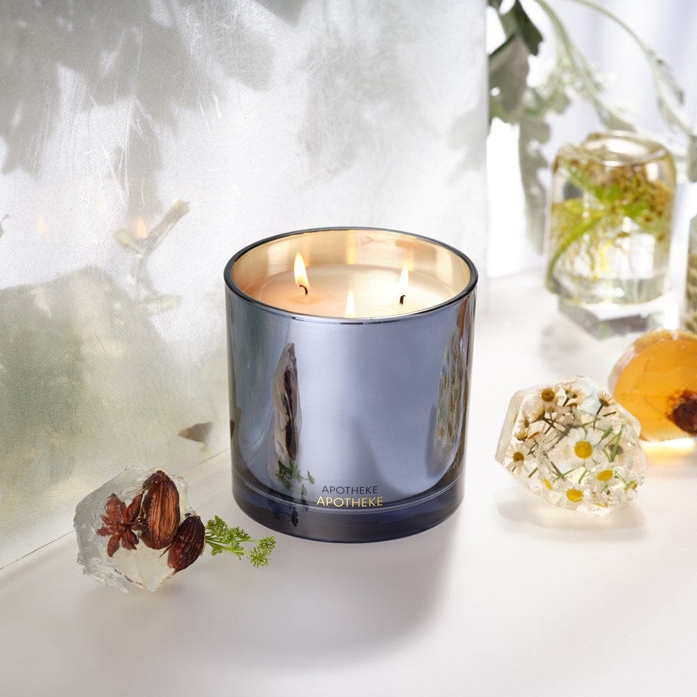 Cardamom Chestnut 3-Wick Candle