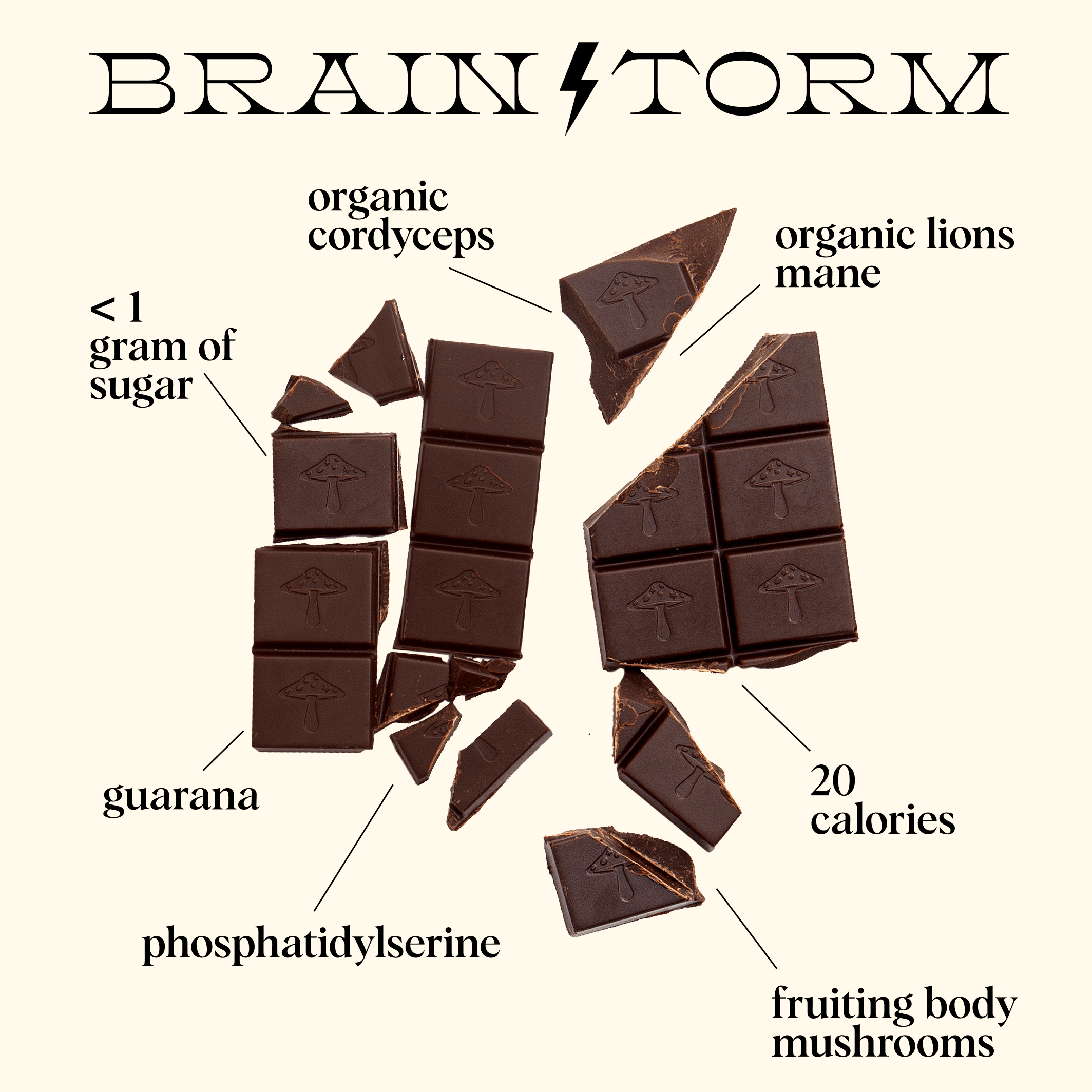 alice mushrooms Brainstorm Functional Mushroom Chocolates