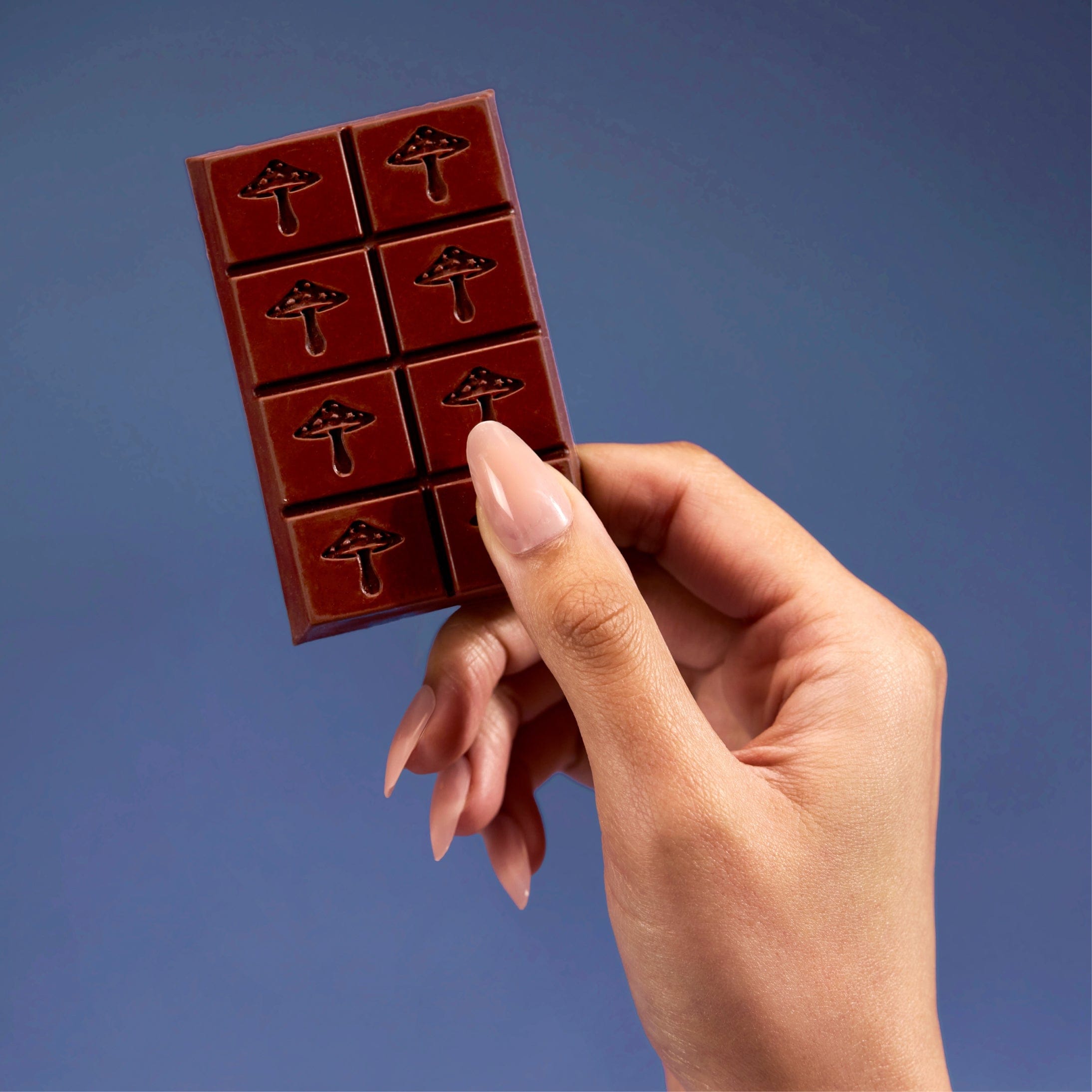 alice mushrooms Vitamins & Supplements Zen-X Functional Mushroom Chocolates