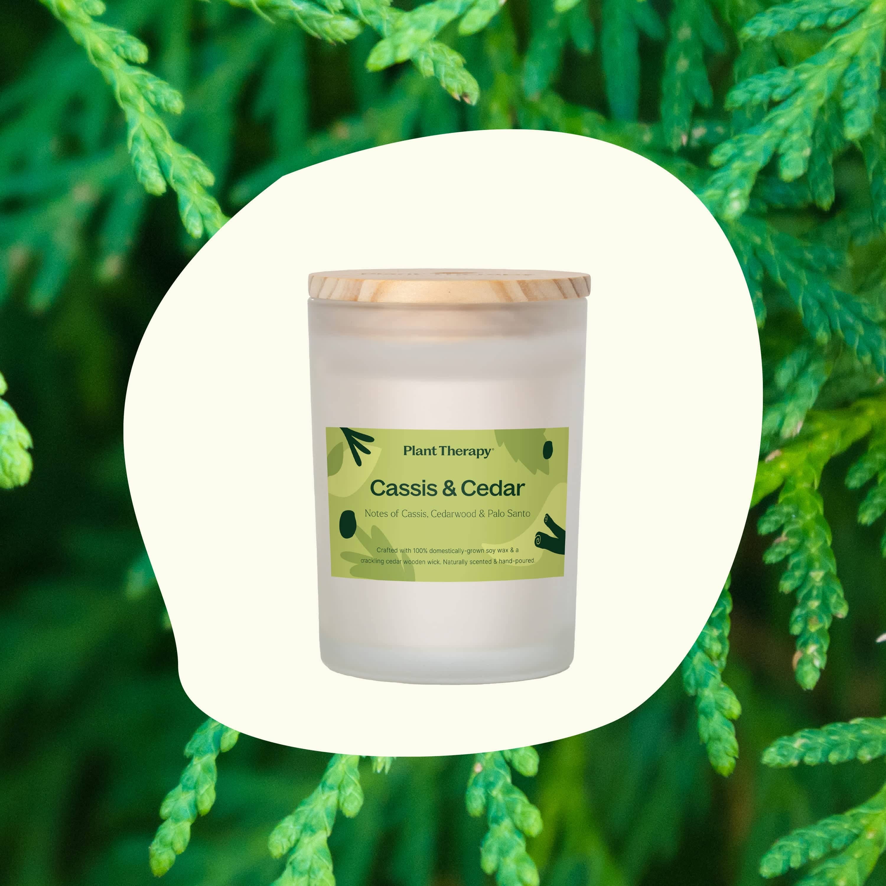 Cassis & Cedar Naturally Scented Candle - My American Goods