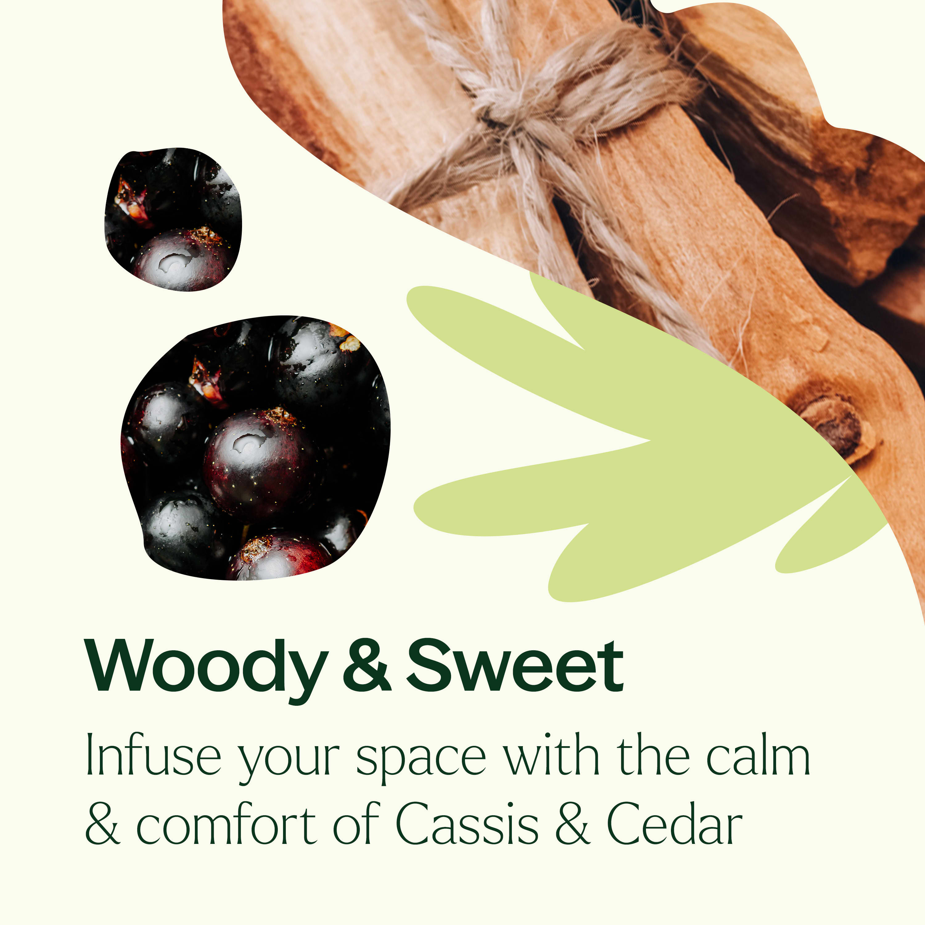 Cassis & Cedar Naturally Scented Candle - My American Goods