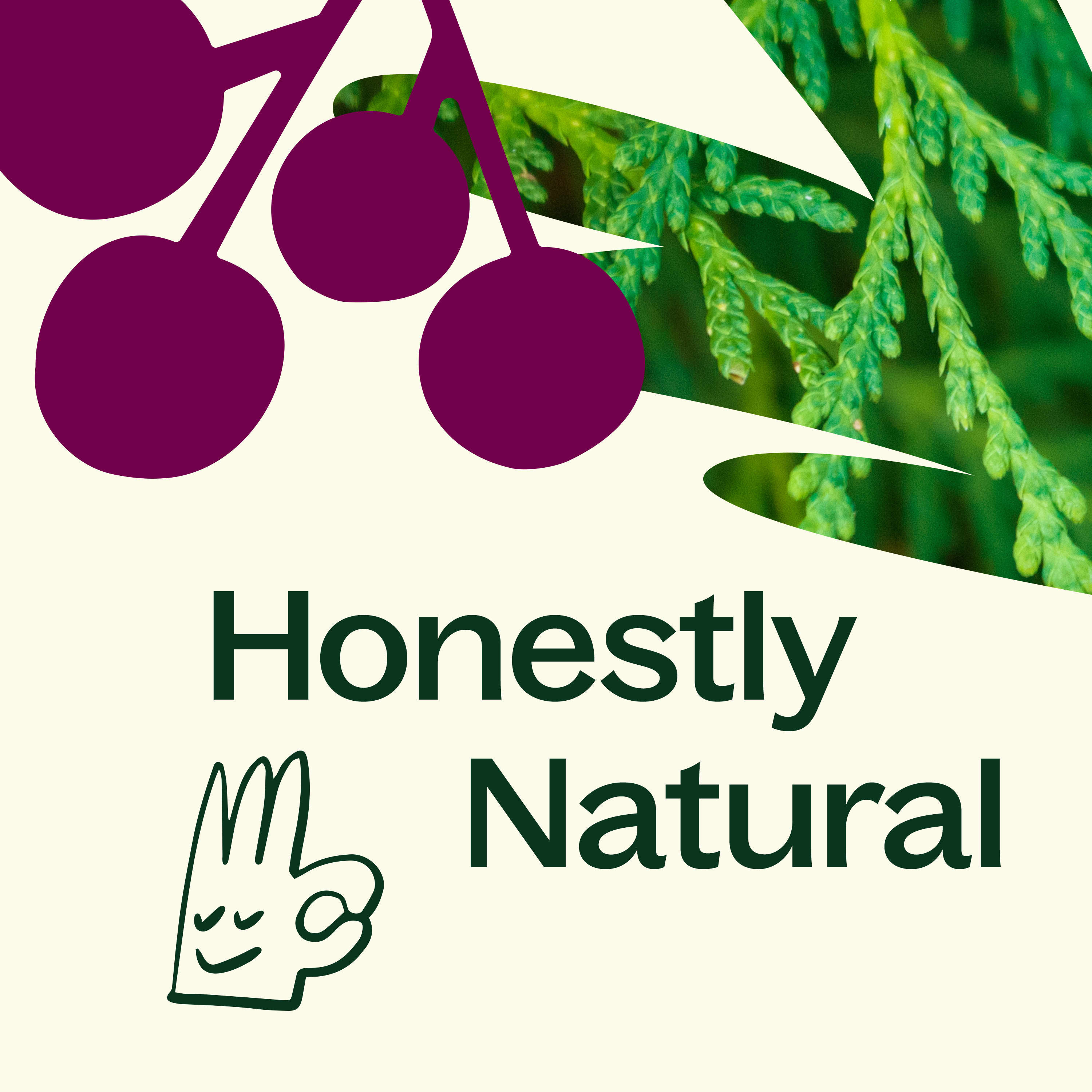 Cassis & Cedar Naturally Scented Candle - My American Goods