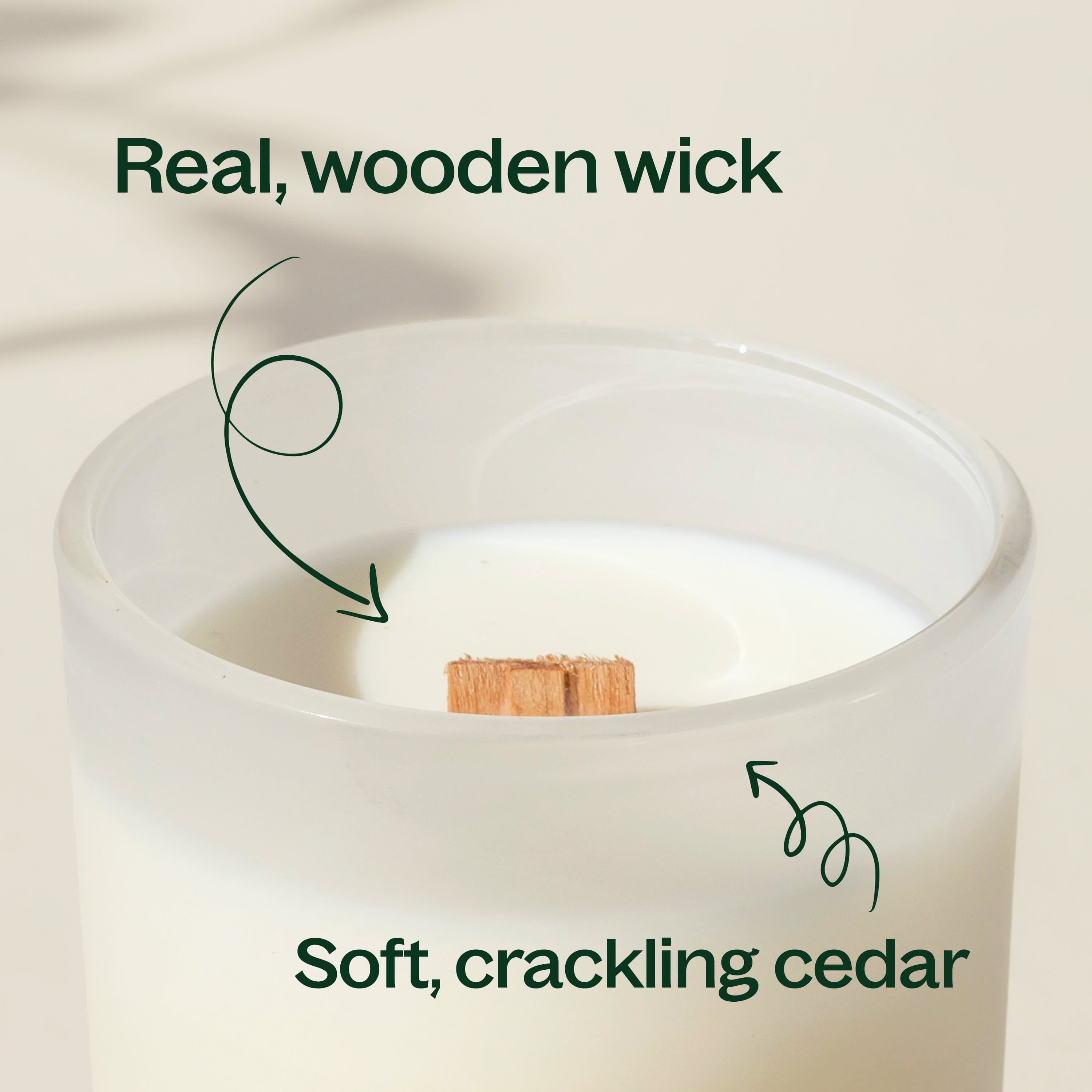 Cassis & Cedar Naturally Scented Candle - My American Goods