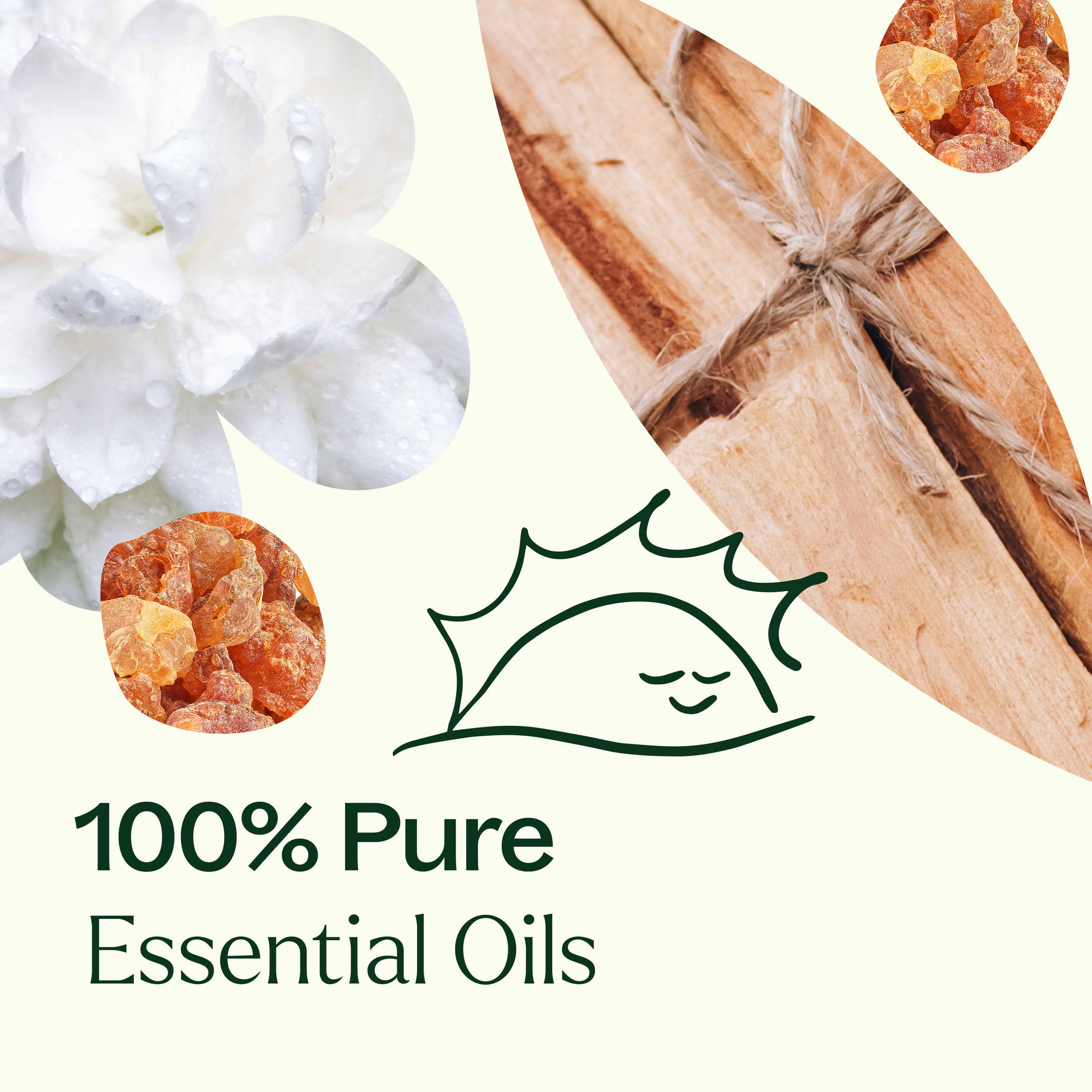 Plant Therapy Essential Oil Chakra Blends Essential Oil Roll-On Set