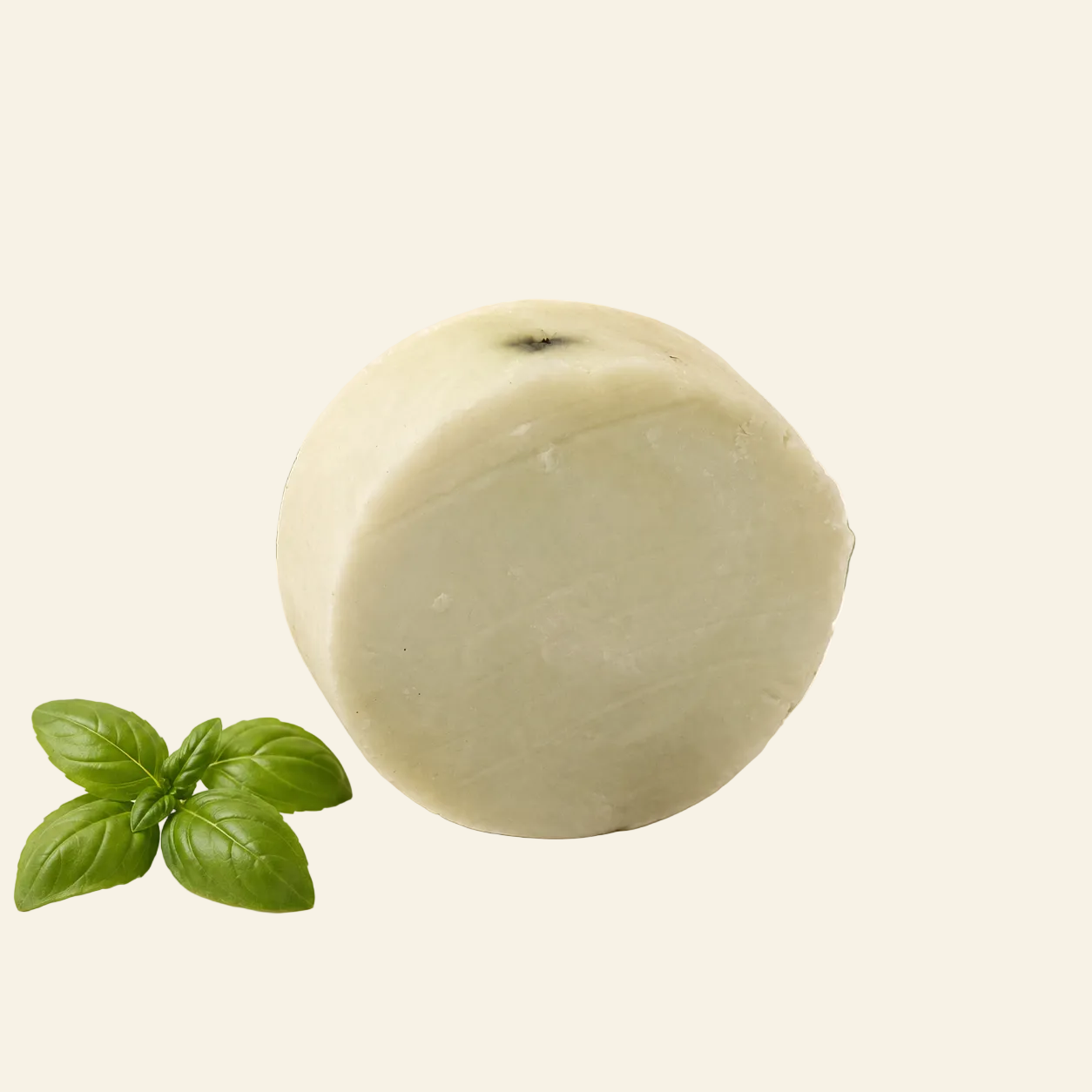 DGAF, Eucalyptus and Basil, Soap Bar