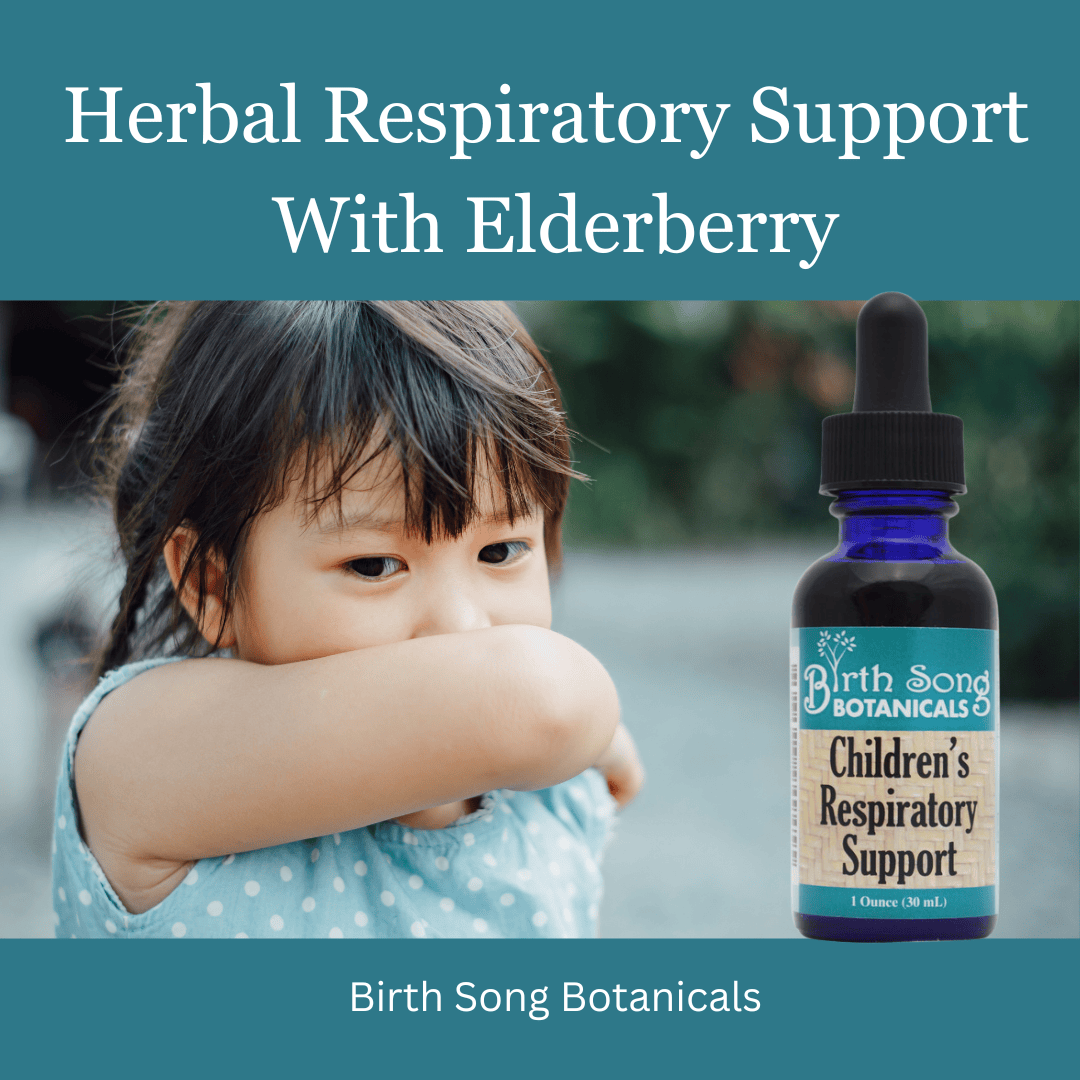 Birth Song Botanicals Co. Tinctures Default Children’s Herbal Tincture – Elderberry & Botanical Blend (1 oz)