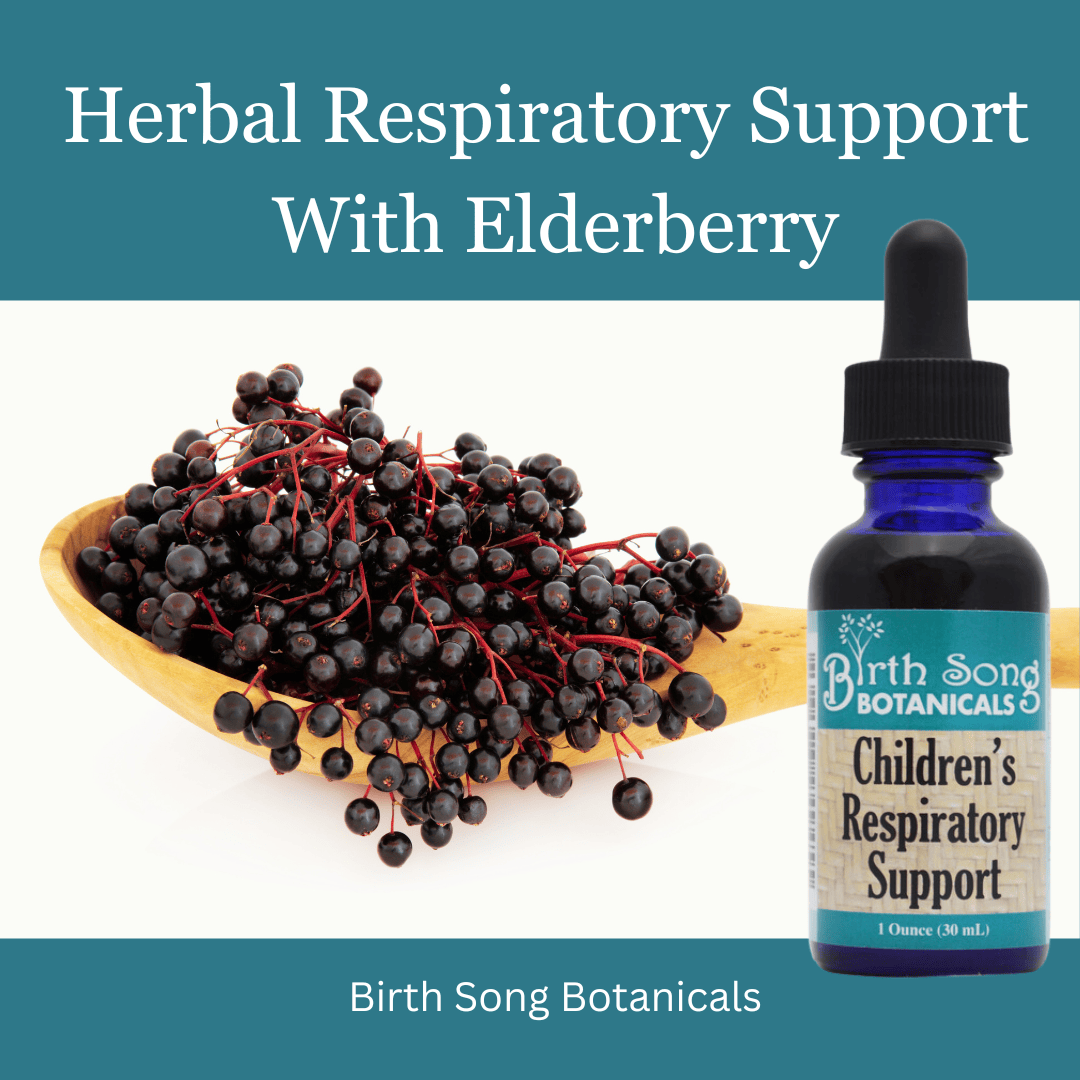 Birth Song Botanicals Co. Tinctures Default Children’s Herbal Tincture – Elderberry & Botanical Blend (1 oz)