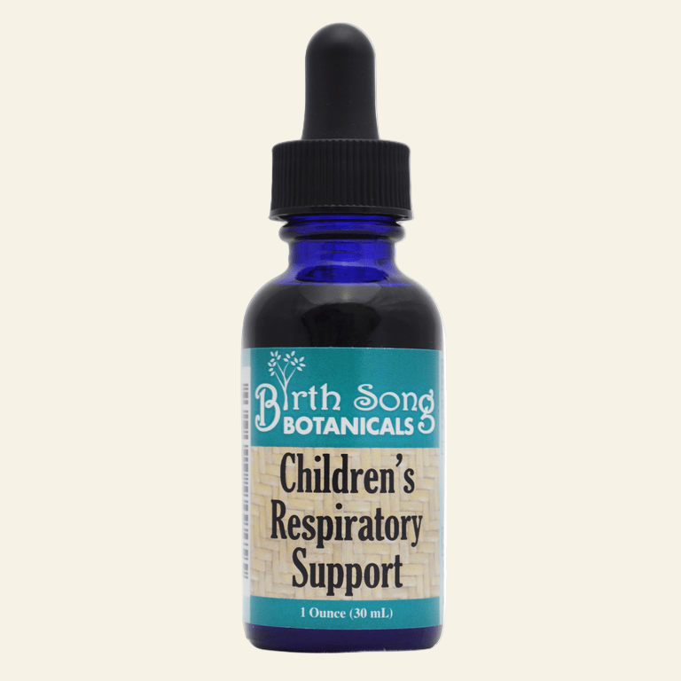 Birth Song Botanicals Co. Tinctures Default Children’s Herbal Tincture – Elderberry & Botanical Blend (1 oz)