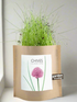 Garden in a Bag - Herbs - My American Goods