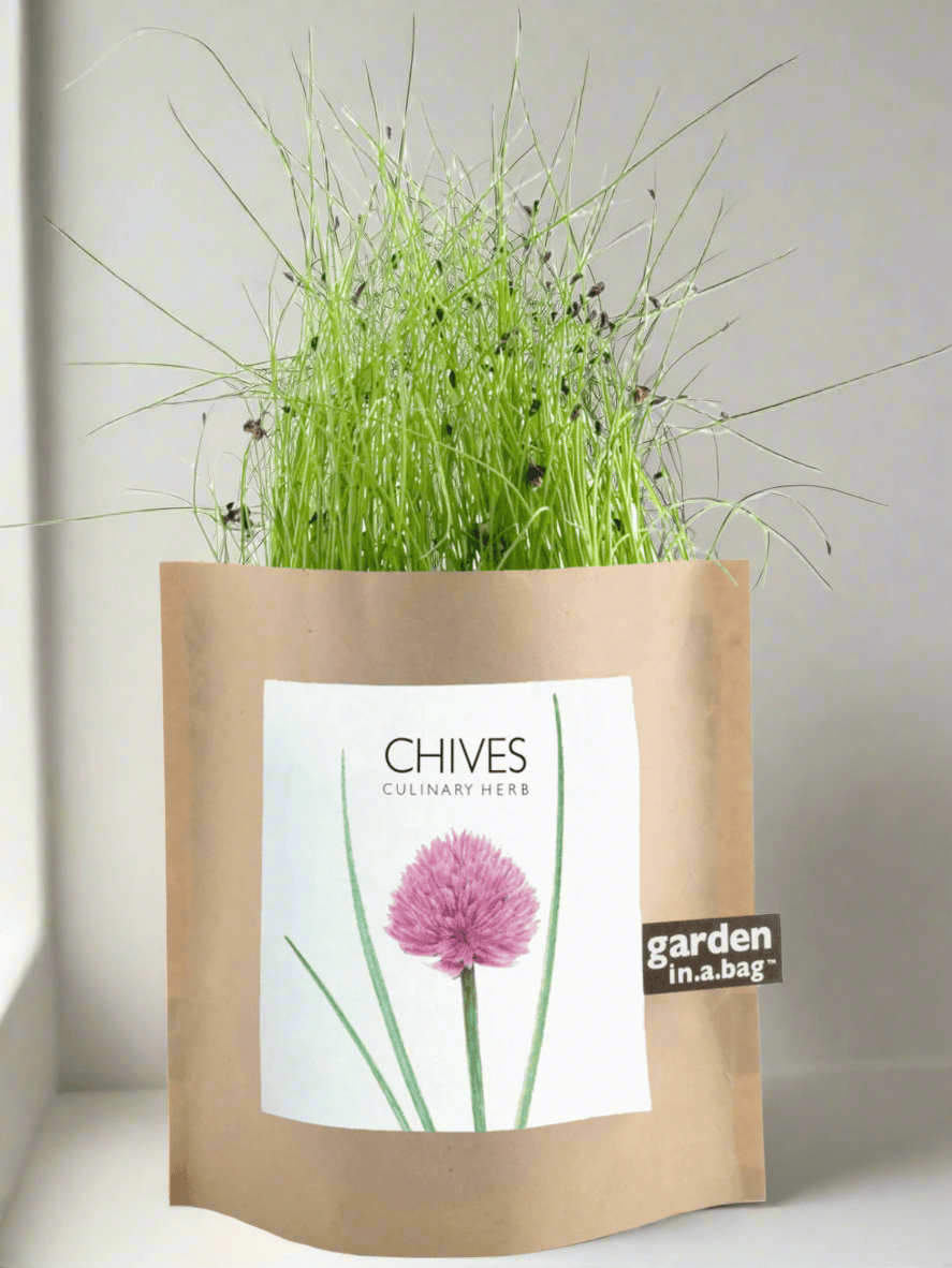 Ash & Rose plant kit Chives Garden in a Bag - Herbs