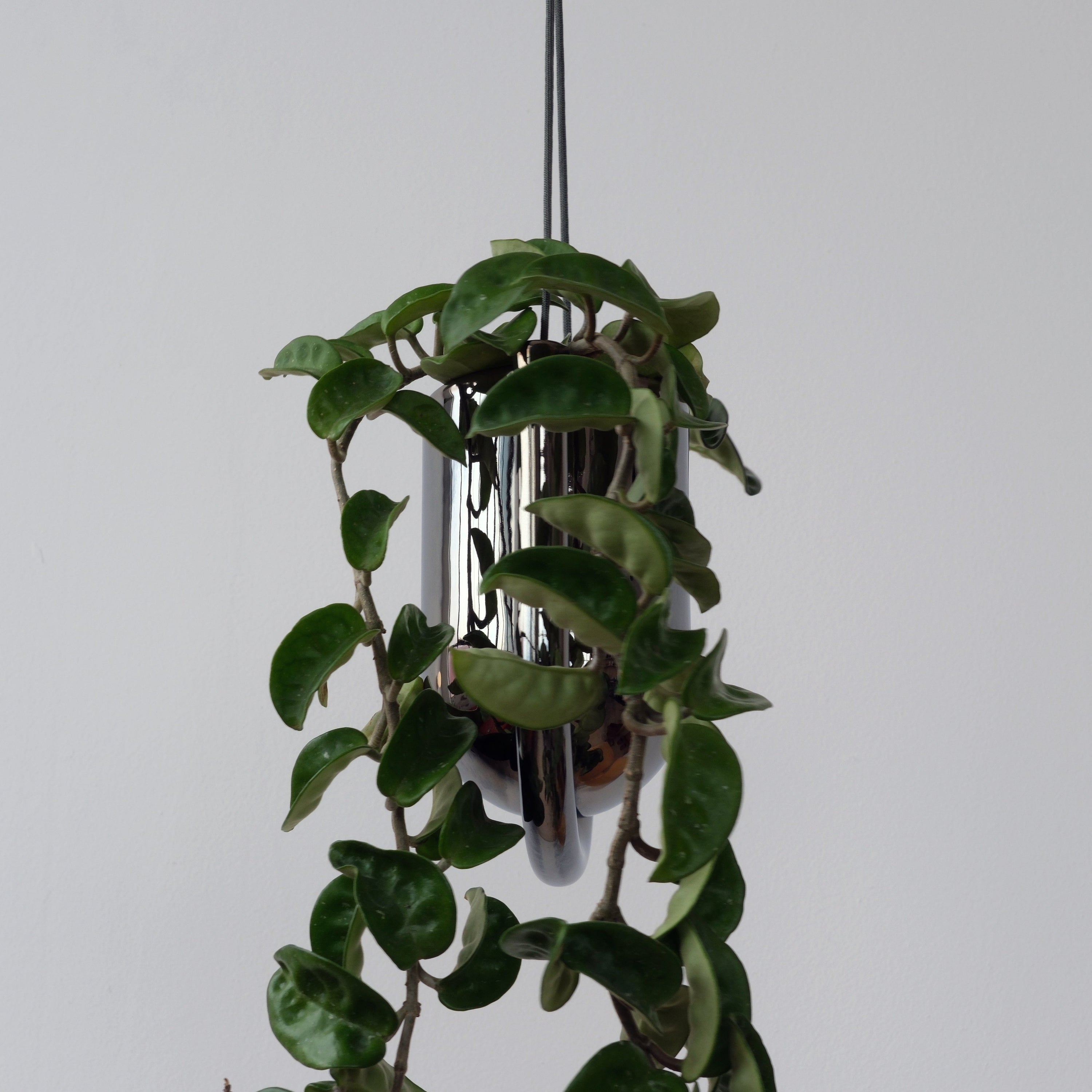Misewell Pots & Planters Portico Planter