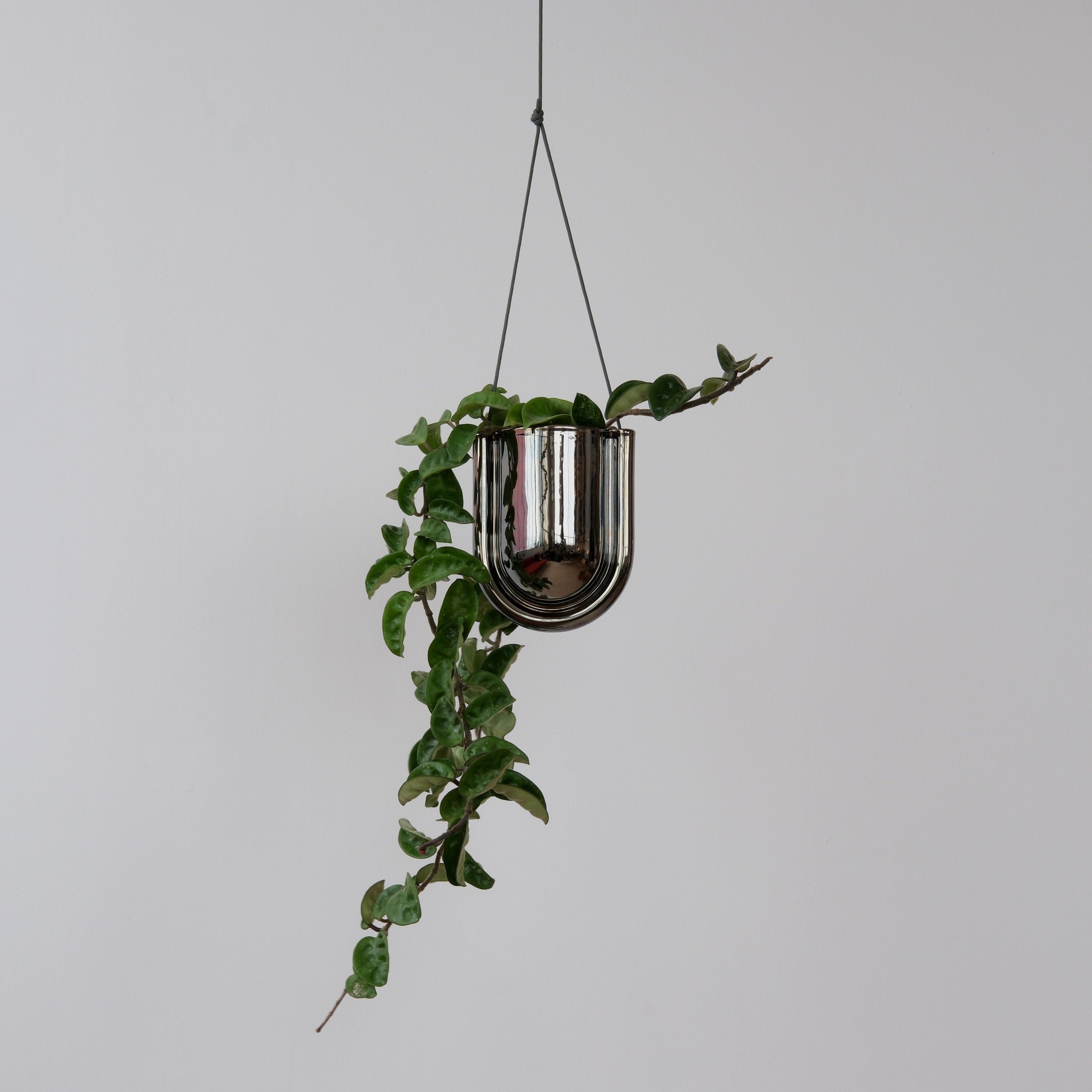 Misewell Pots & Planters Chrome Portico Planter - Chrome