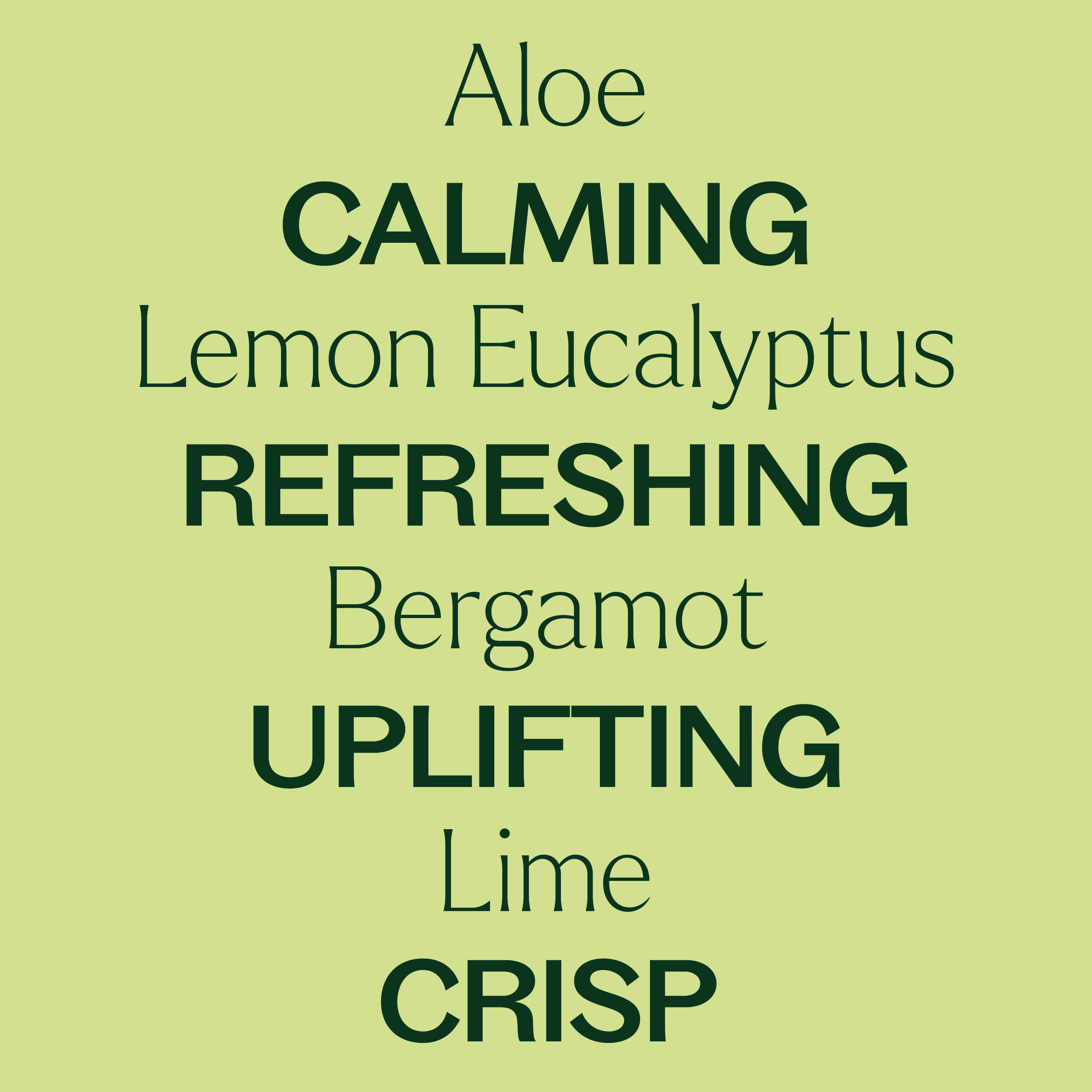 Citrus Refresher Body Wash 16 oz - My American Goods