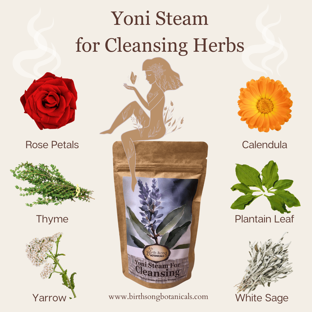 Birth Song Botanicals Co. Yoni steam Yoni Steam for Cleansing- Vaginal Steaming Herbs, Womb Blessing and Purify Herbs for V Steaming, Organic Herbal Blend For Uterine Wellness* 3 oz.