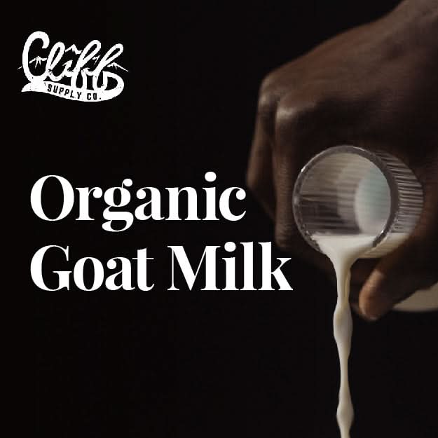 Beard Wash Brick - Tea Tree - My American Goods