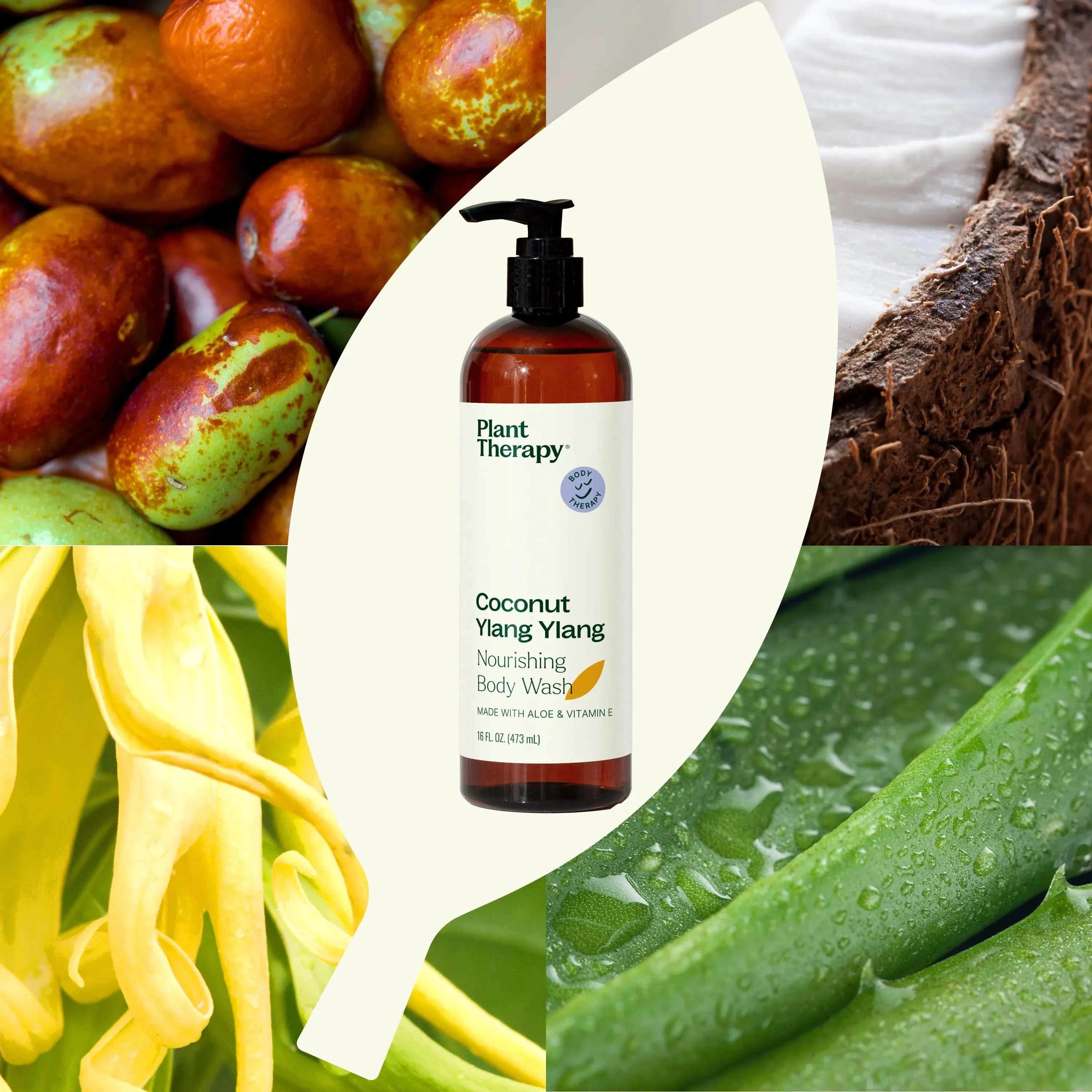 Coconut Ylang Ylang Body Wash - My American Goods