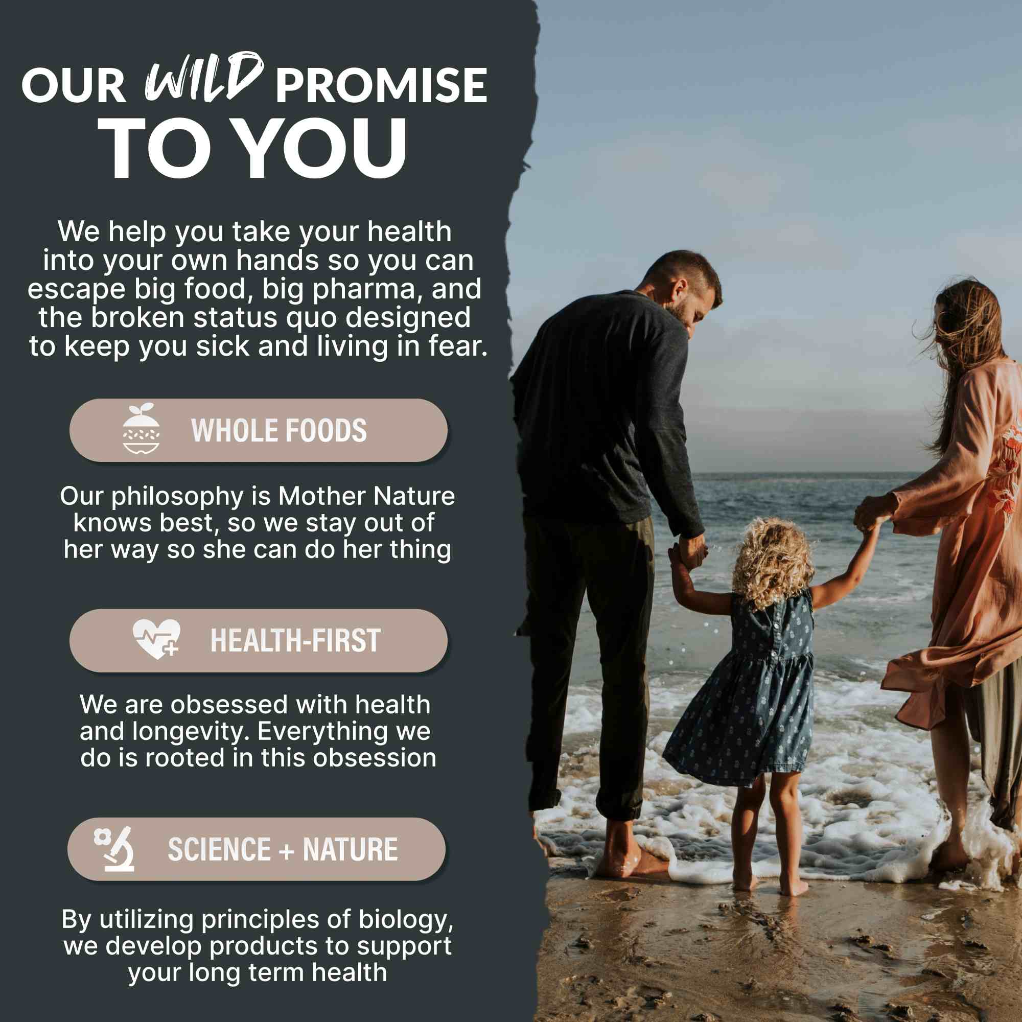 CocoTropic, 32 servings – Organic Mushroom Mix for Energy & Focus - My American Goods