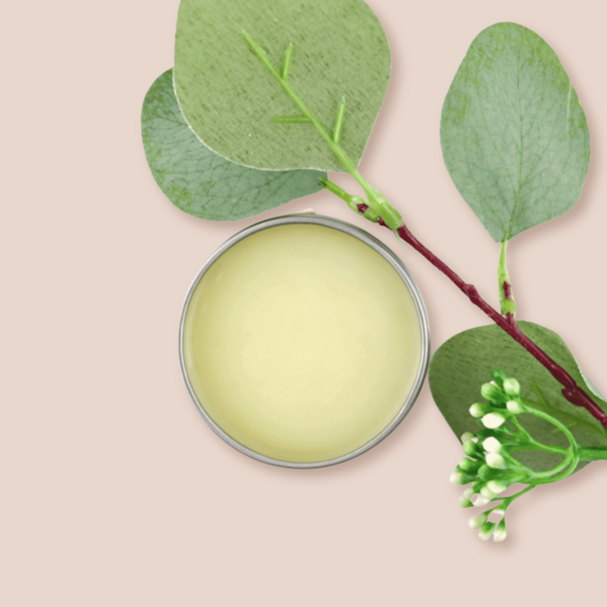 Taylor Made Organics therapeutic salve Cold & Sinus Organic Salve