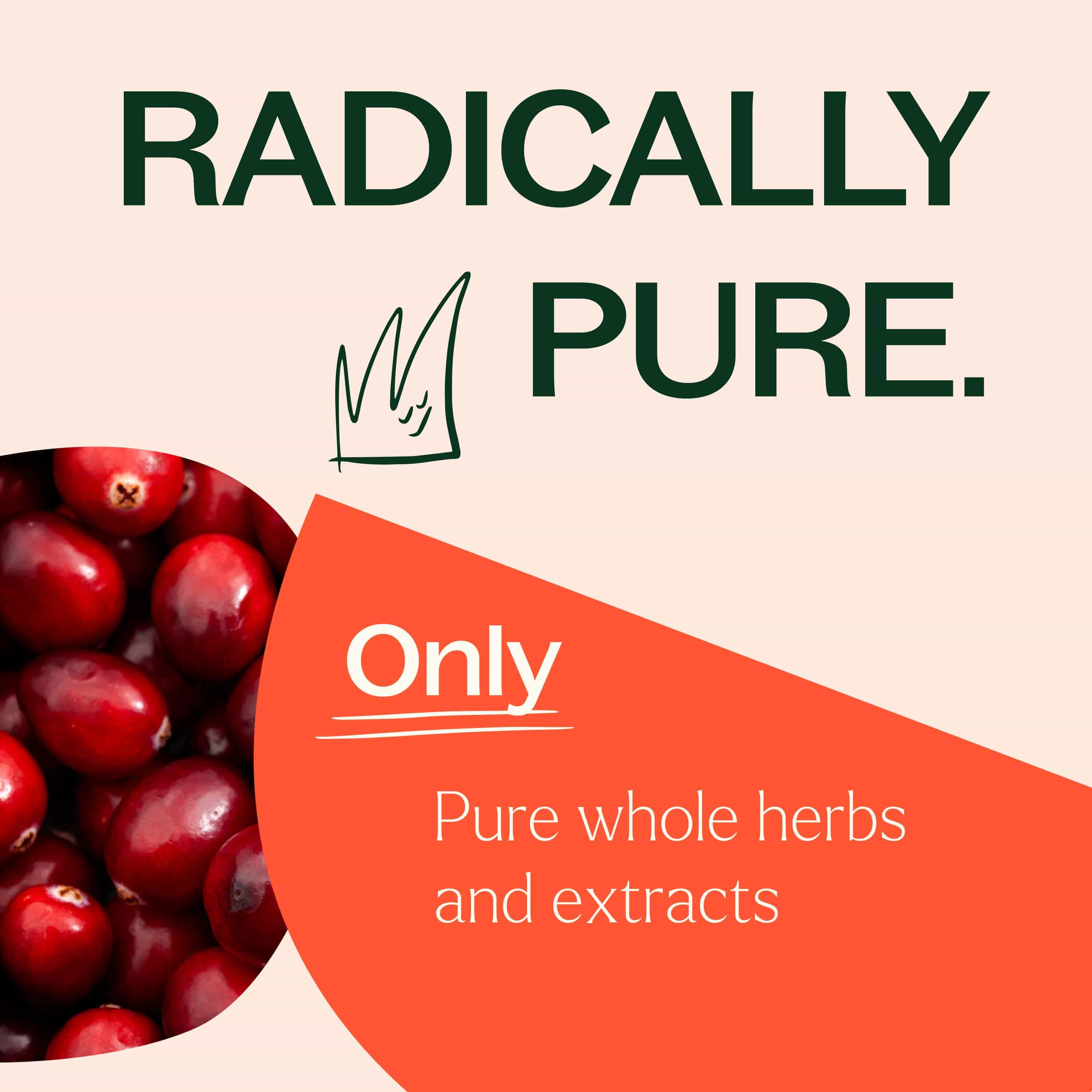 Cranberry with Vitamin C – Plant-Based Capsules - My American Goods