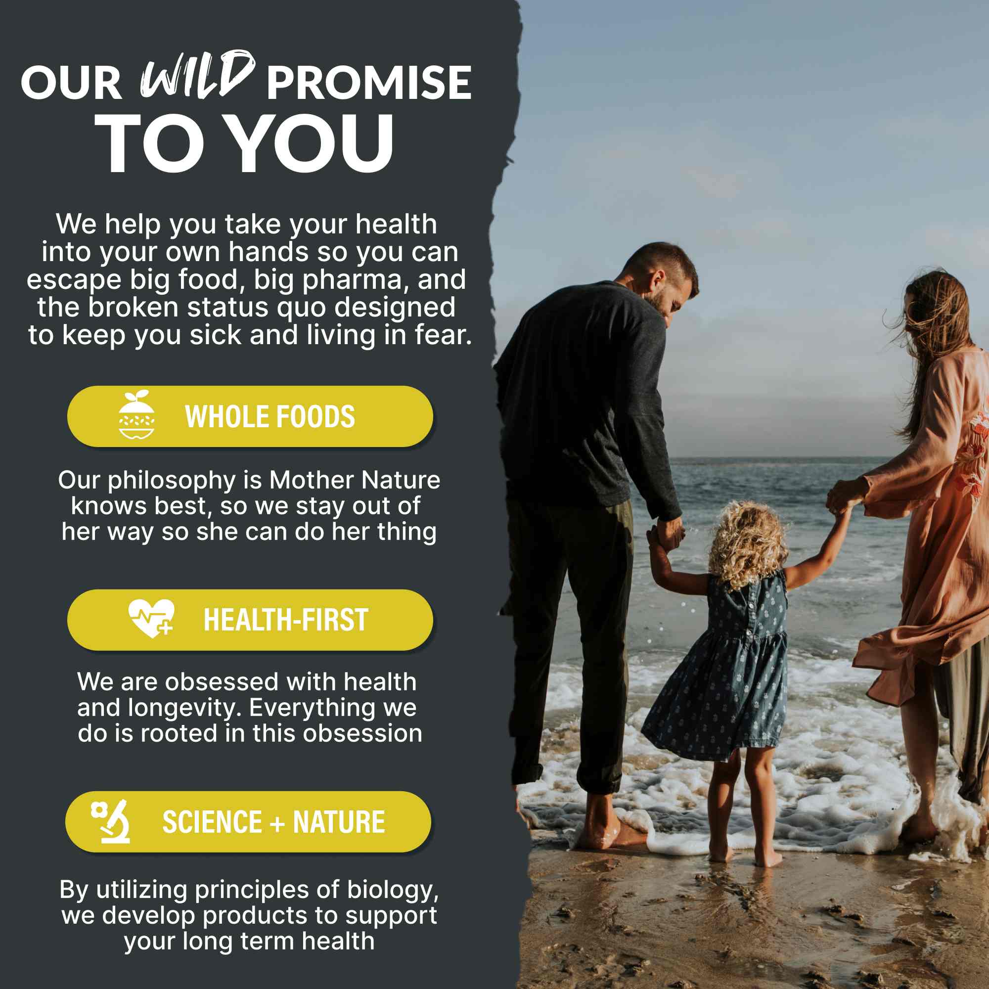 NEW! Wild Creatine Monohydrate, 20 Servings – 100% Pure - My American Goods