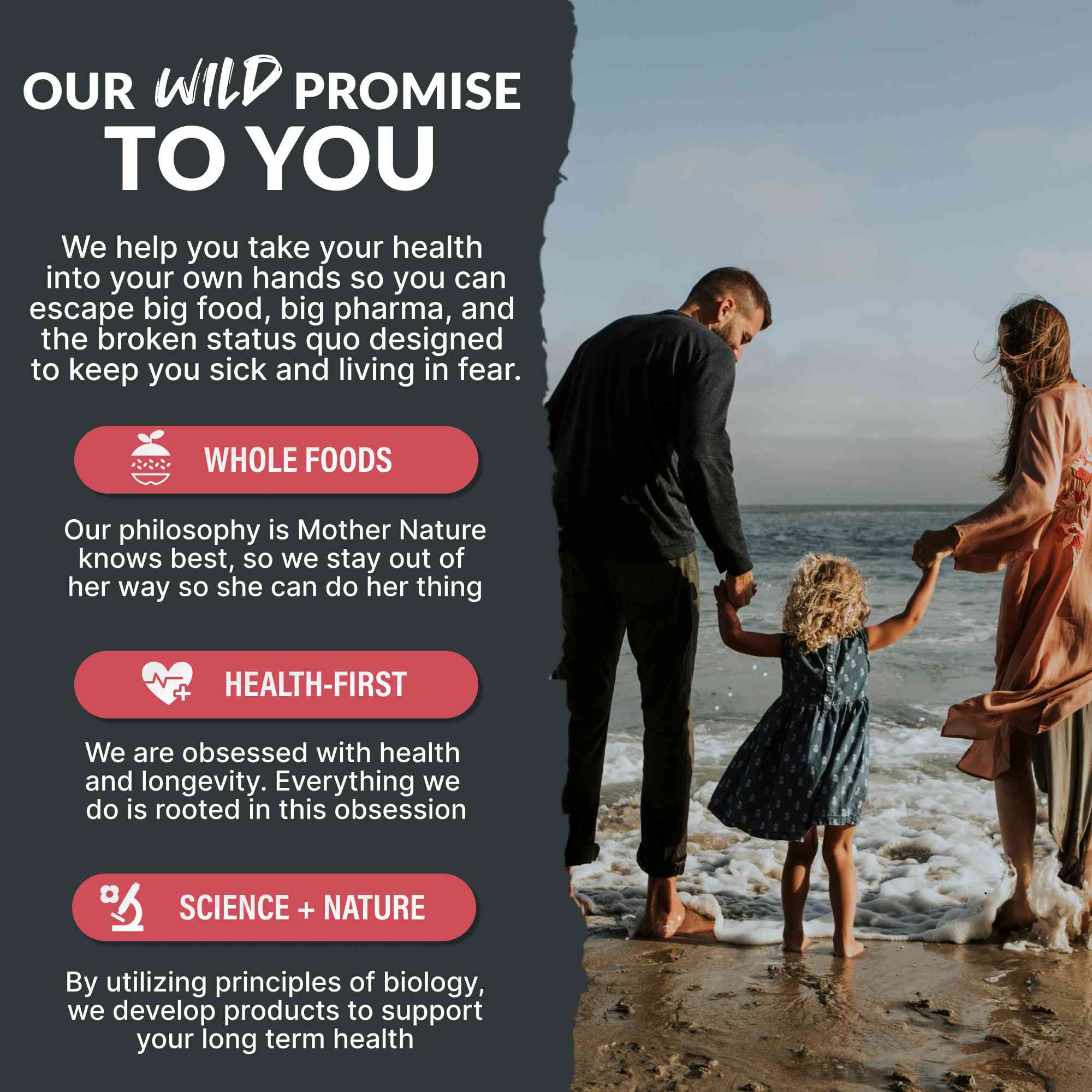 NEW! Creatine + Electrolytes, Delicious Dragonfruit For Performance & Hydration - My American Goods