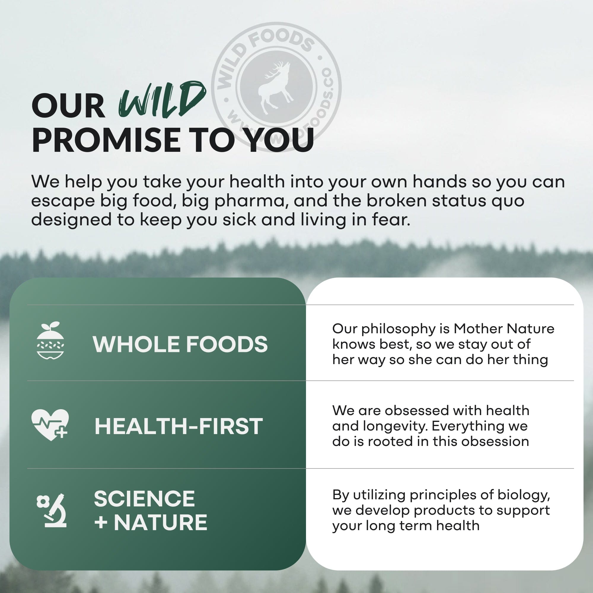Wild Foods Mushrooms NEW! Wild Creatine Monohydrate, 20 Servings – 100% Pure