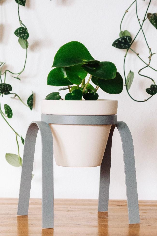 Carter + Rose Granite / Porcelain Metal Plant Stand with Pot