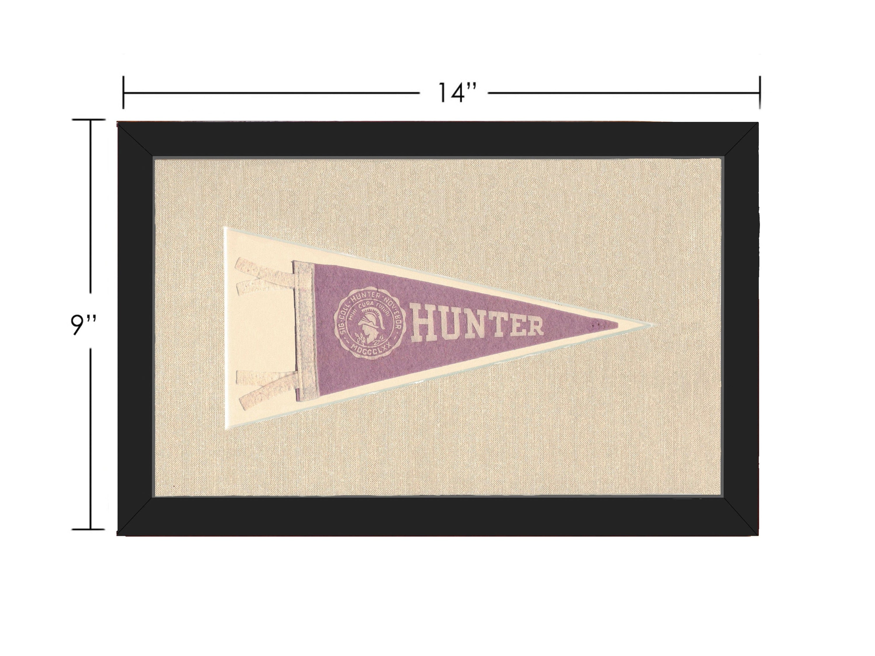 Americana Memories Vintage Pennants and Memorabilia Vintage Hunter College Pennant