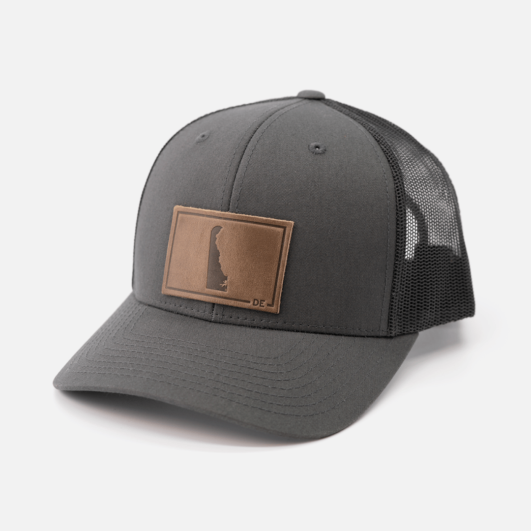 Delaware Silhouette Hat