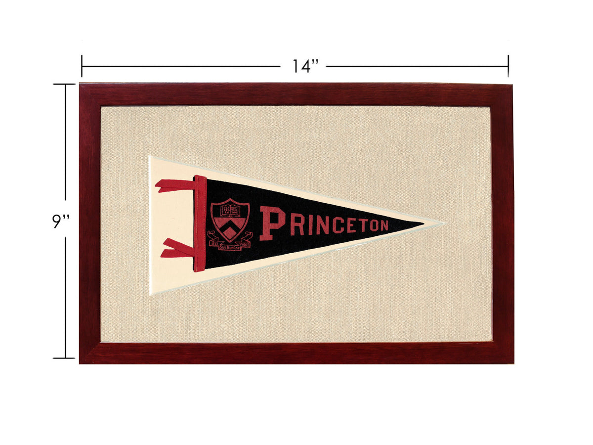 Vintage Princeton Pennant