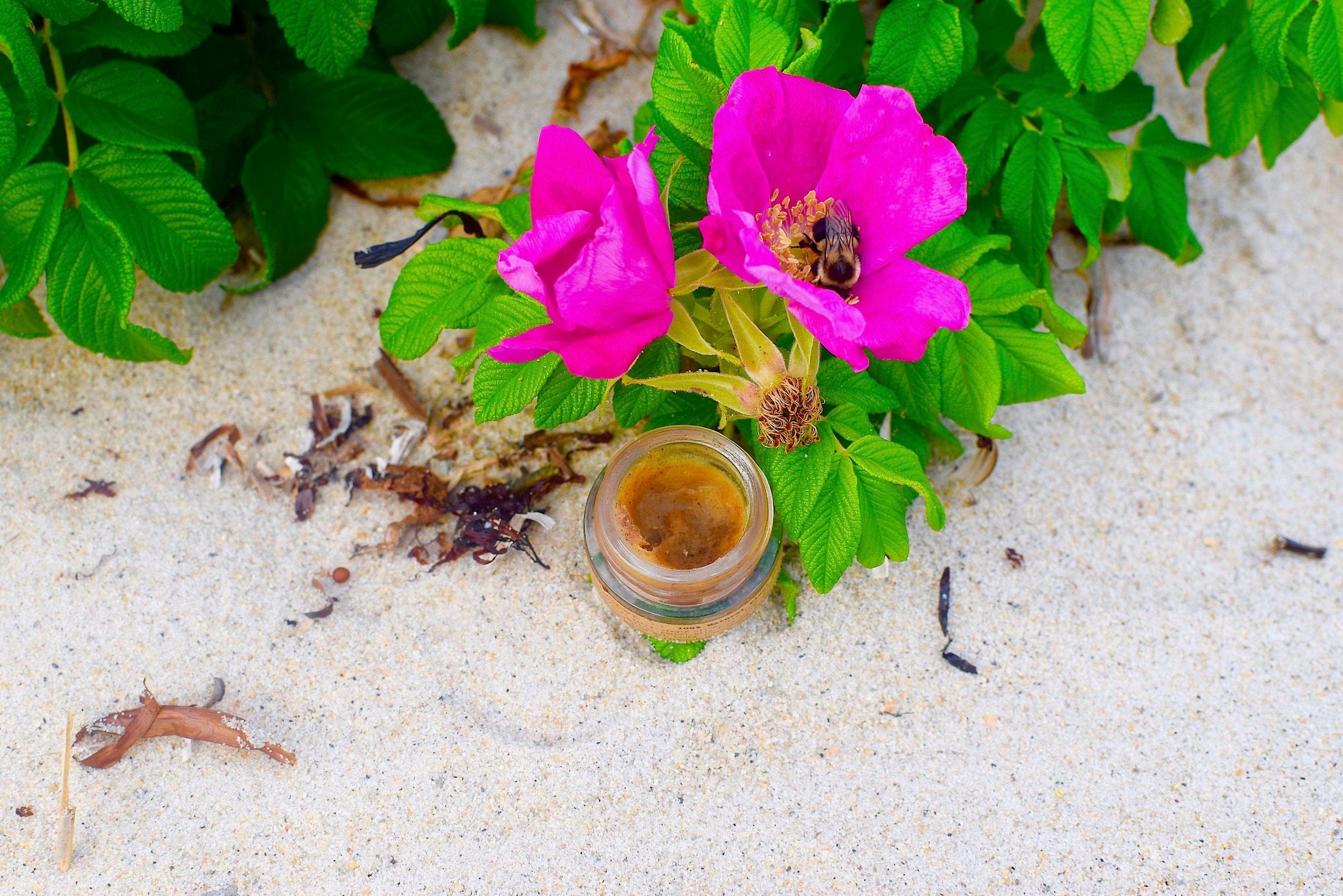 plant makeup Cinnamon Lip Plumper