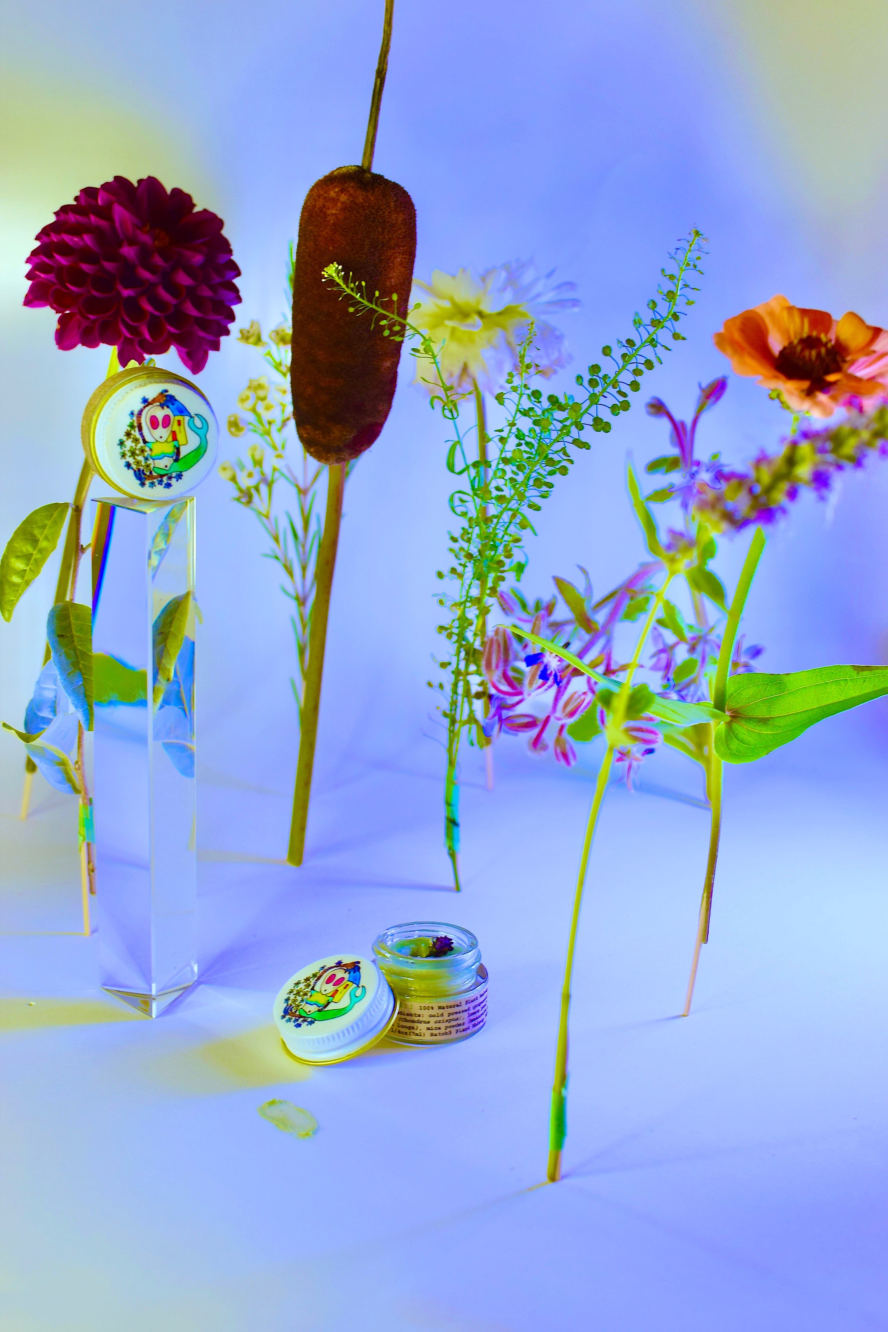 plant makeup Face Makeup ALIEN DRIP GLOSS