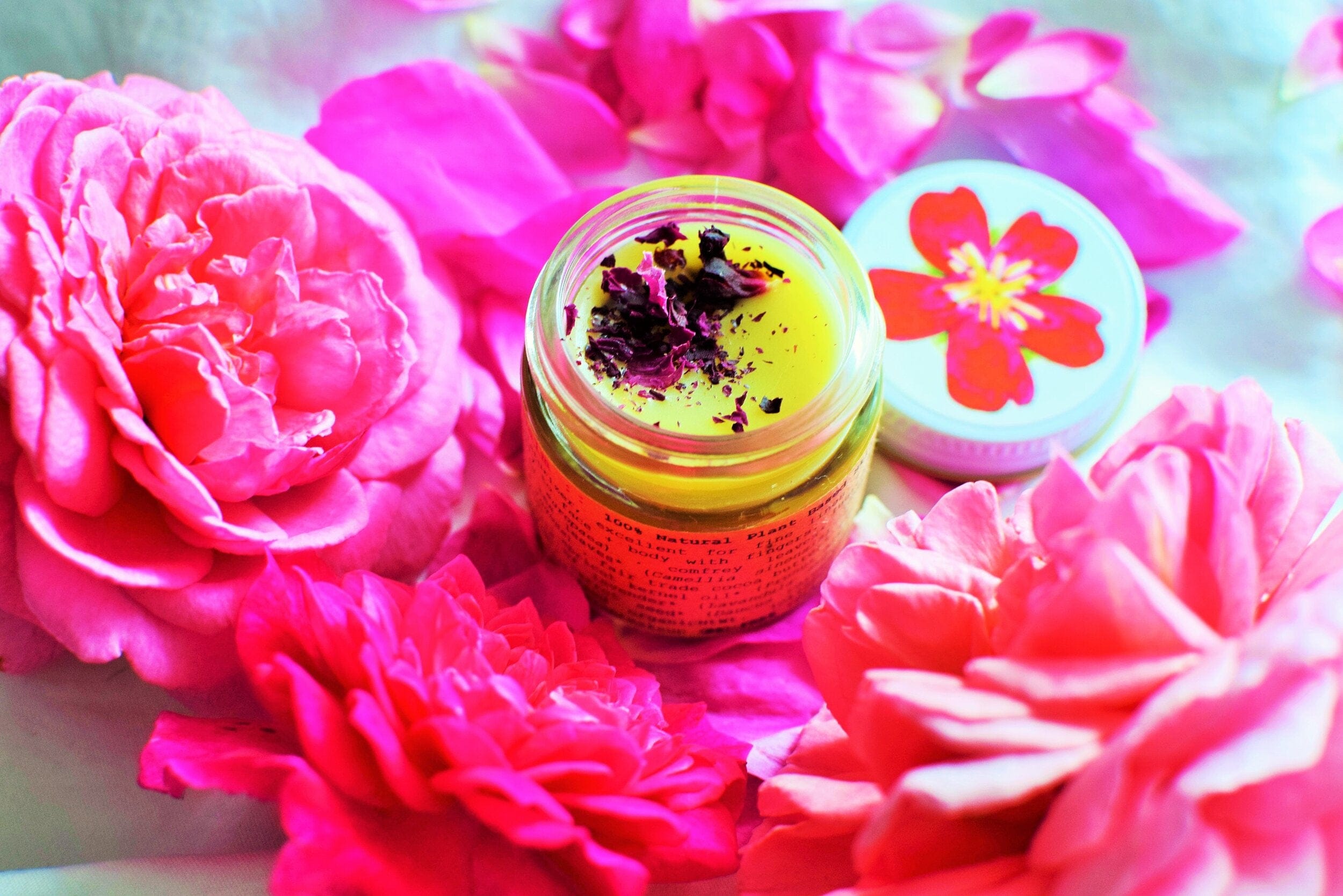 plant makeup Beach Rose Beauty Balm
