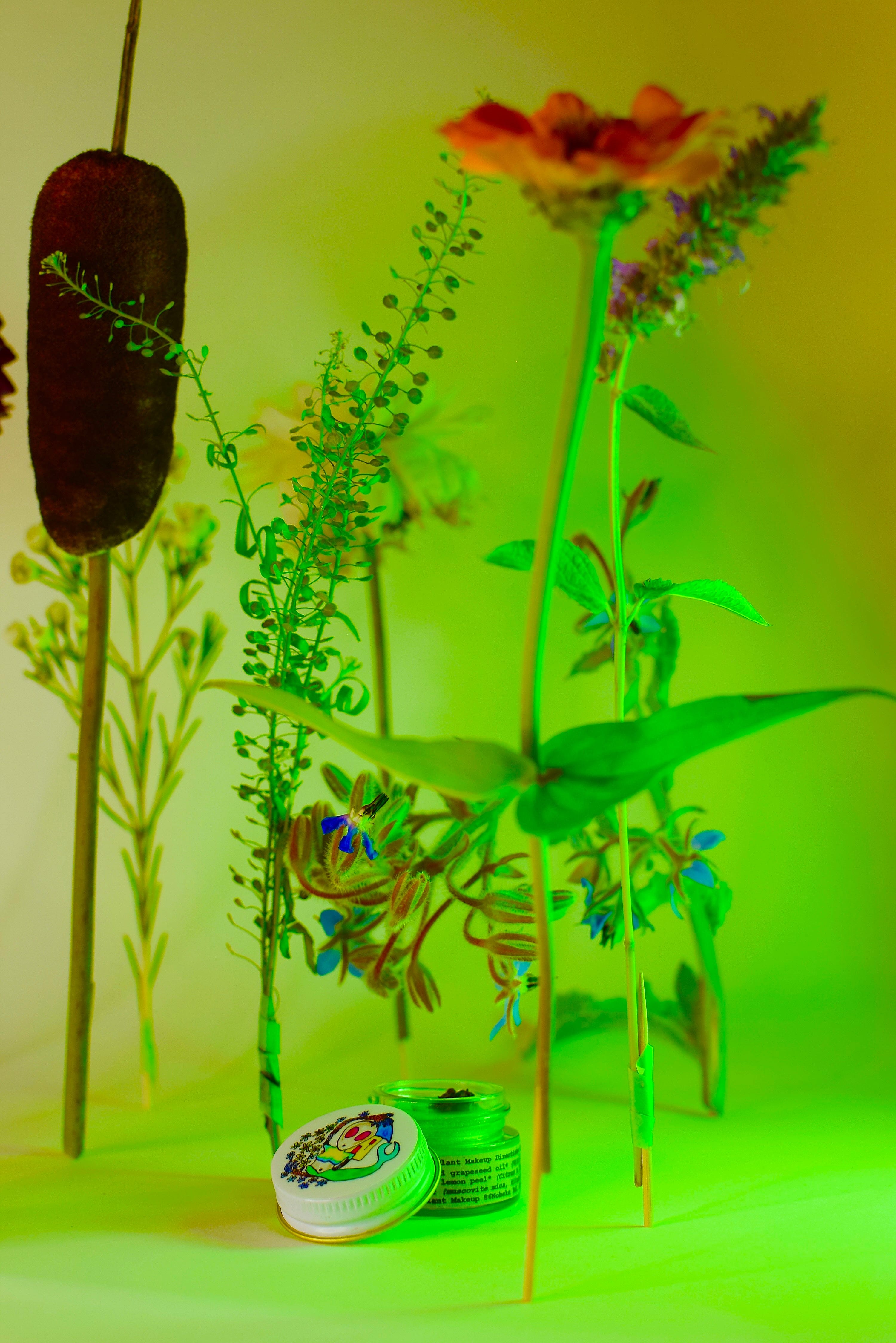 plant makeup Face Makeup ALIEN DRIP GLOSS