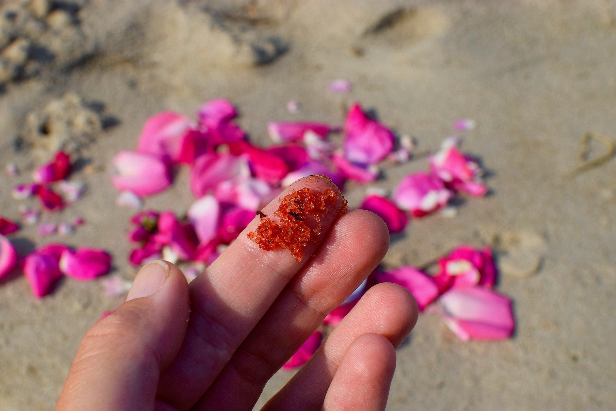 plant makeup Beach Rose Scrub