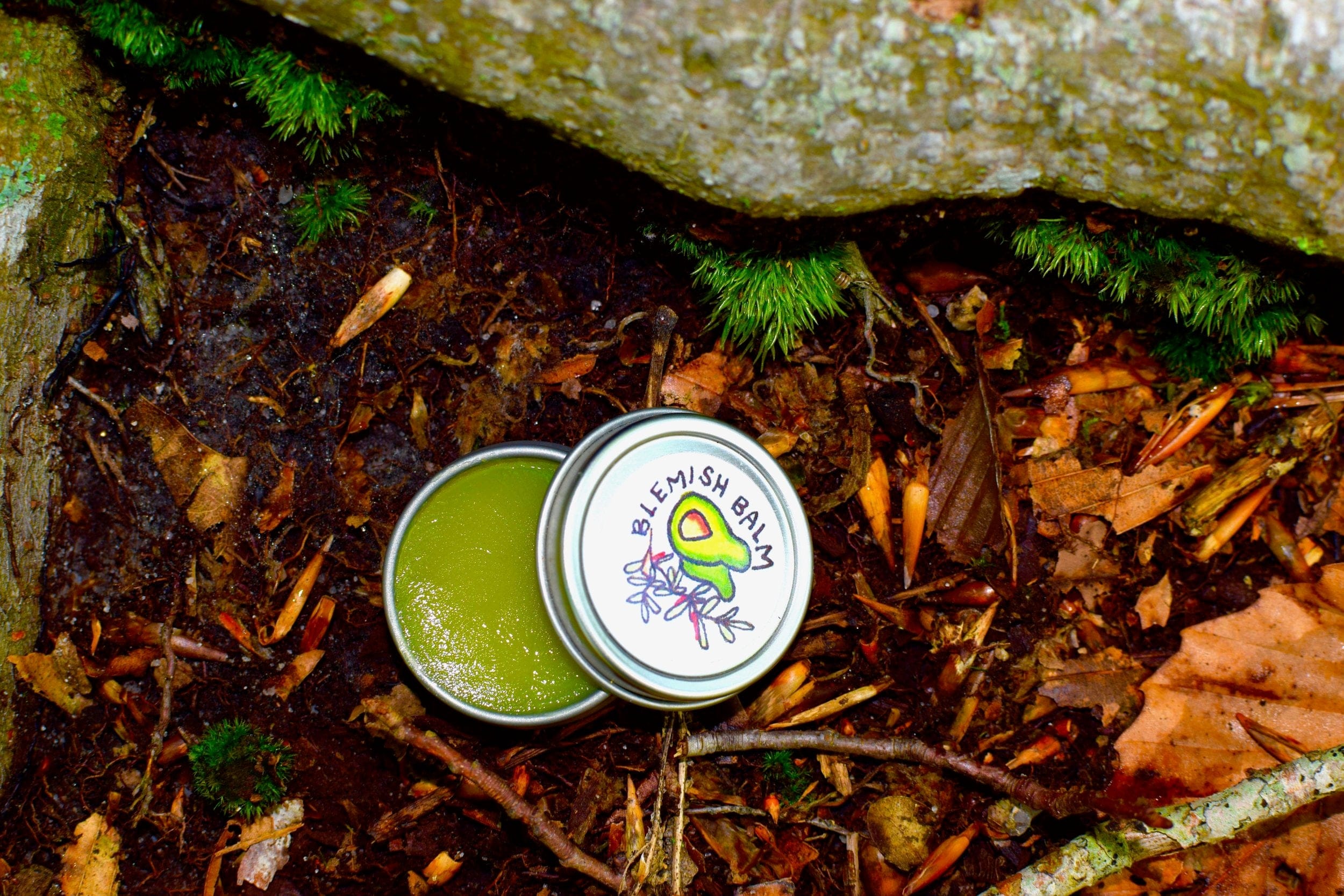 plant makeup Blemish Balm